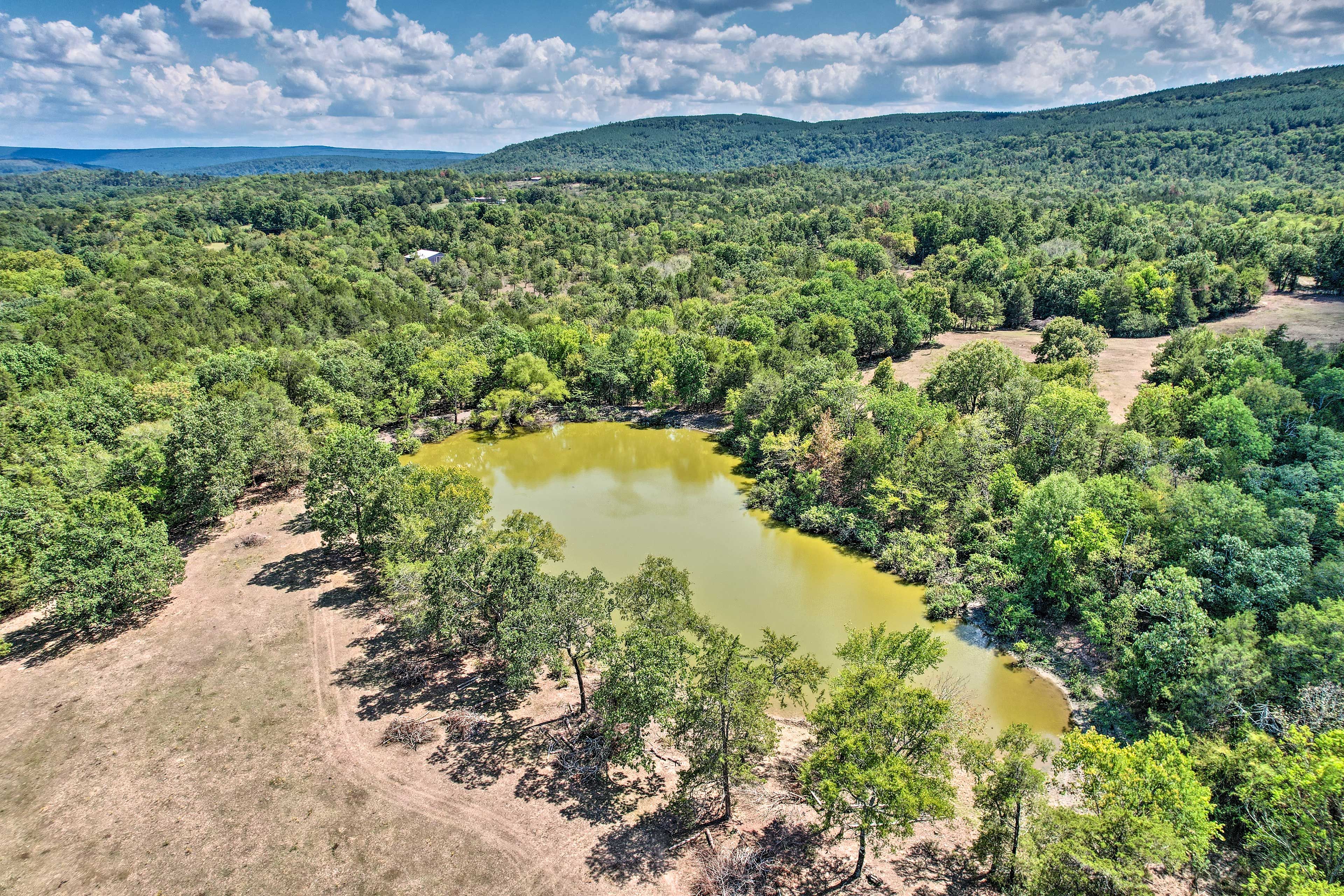 Shared Fishing Pond
