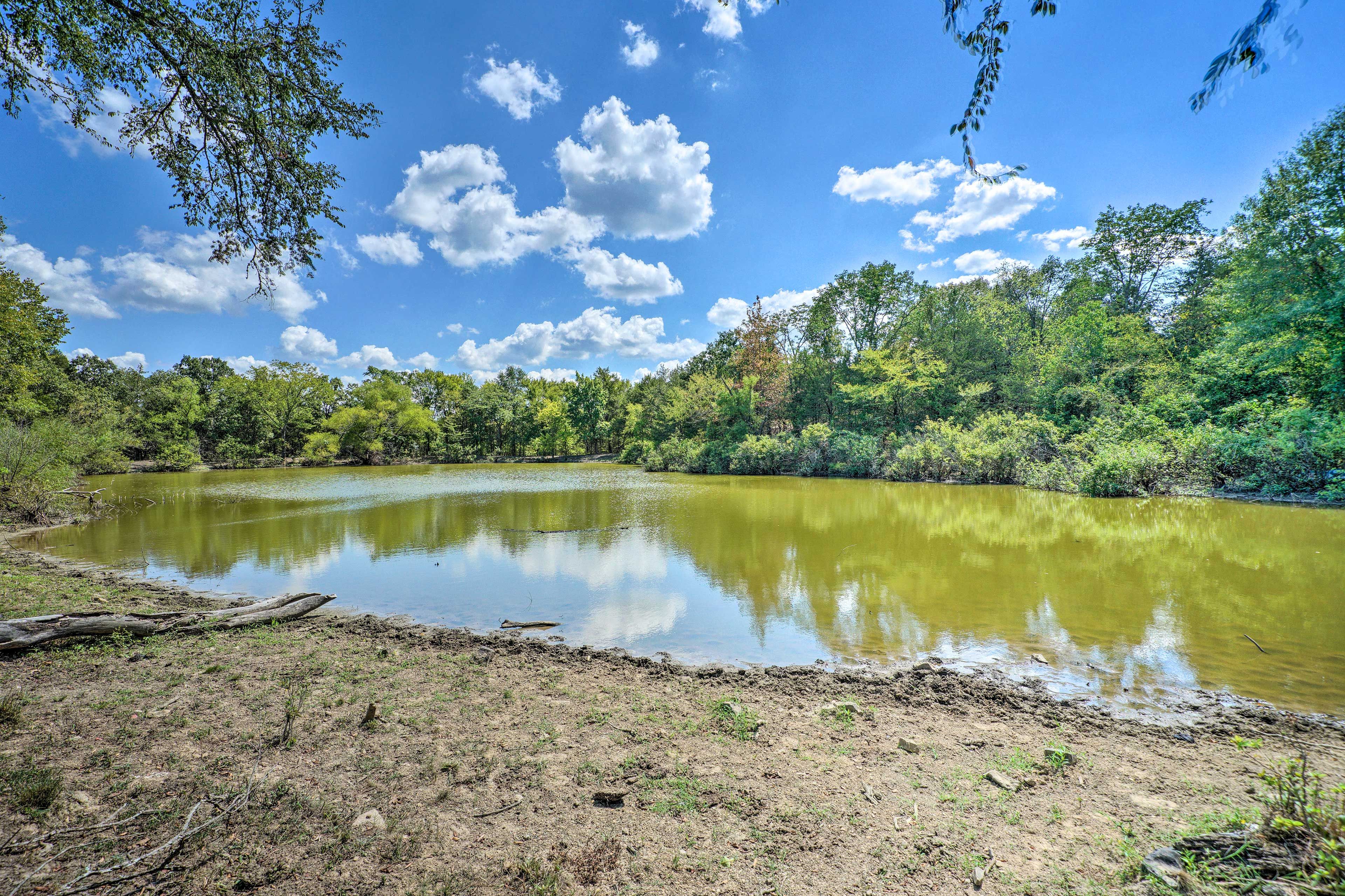 Shared Fishing Pond On-Site (Fishing Poles Not Provided) | Pet Friendly w/ Fee