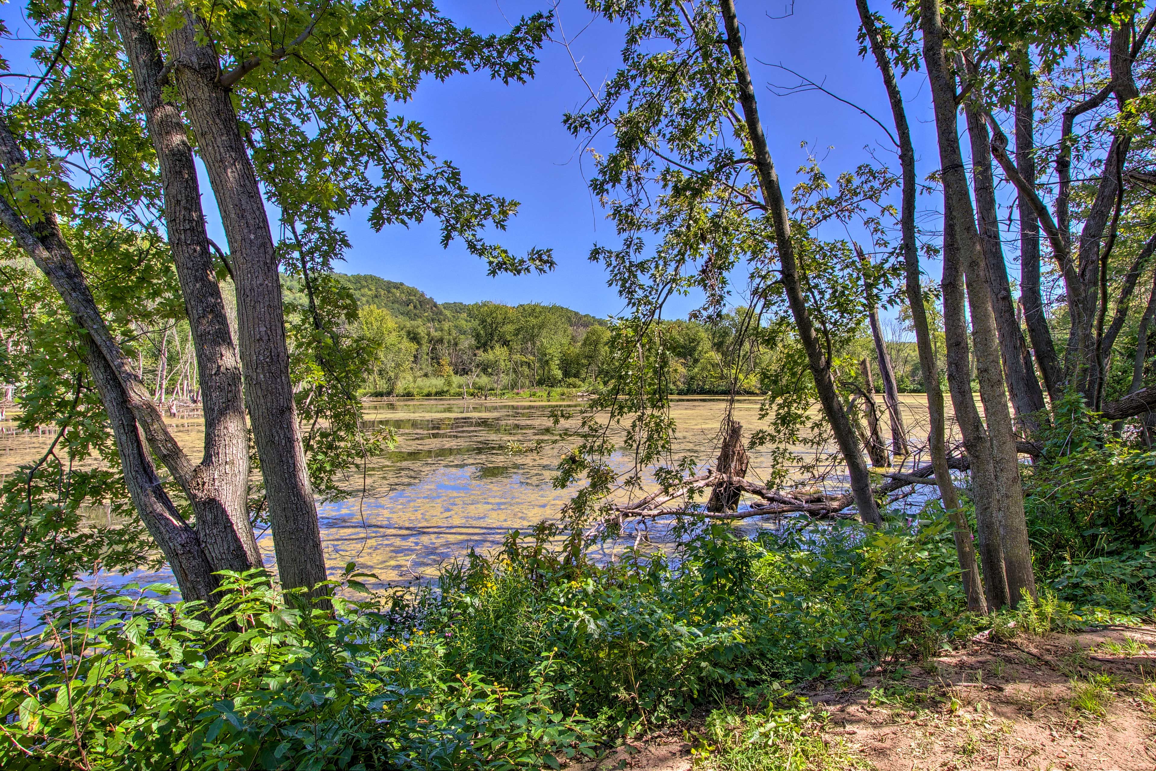 Marsh View