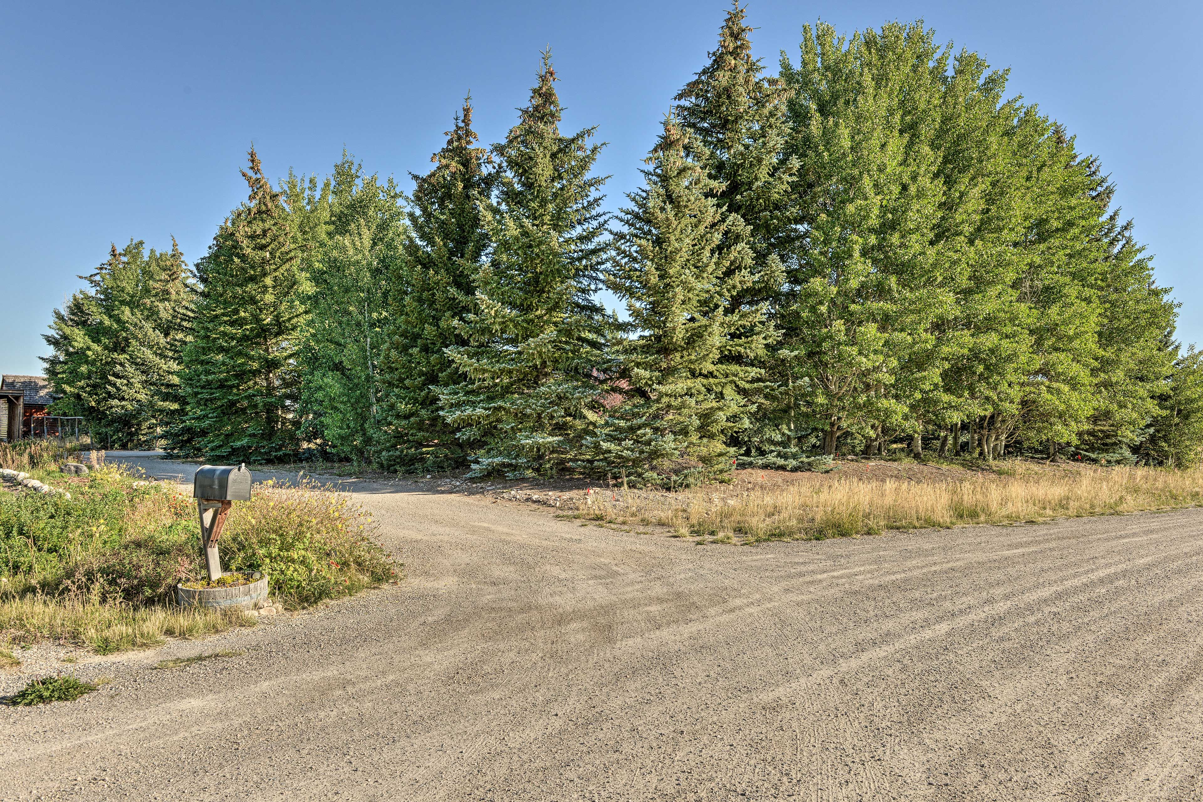 Image 28