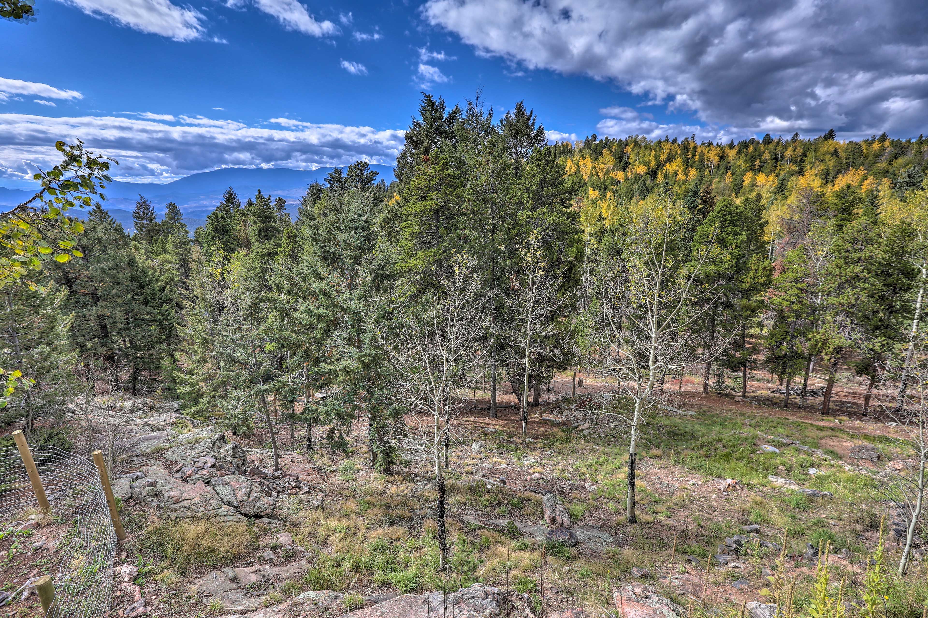 Property Views