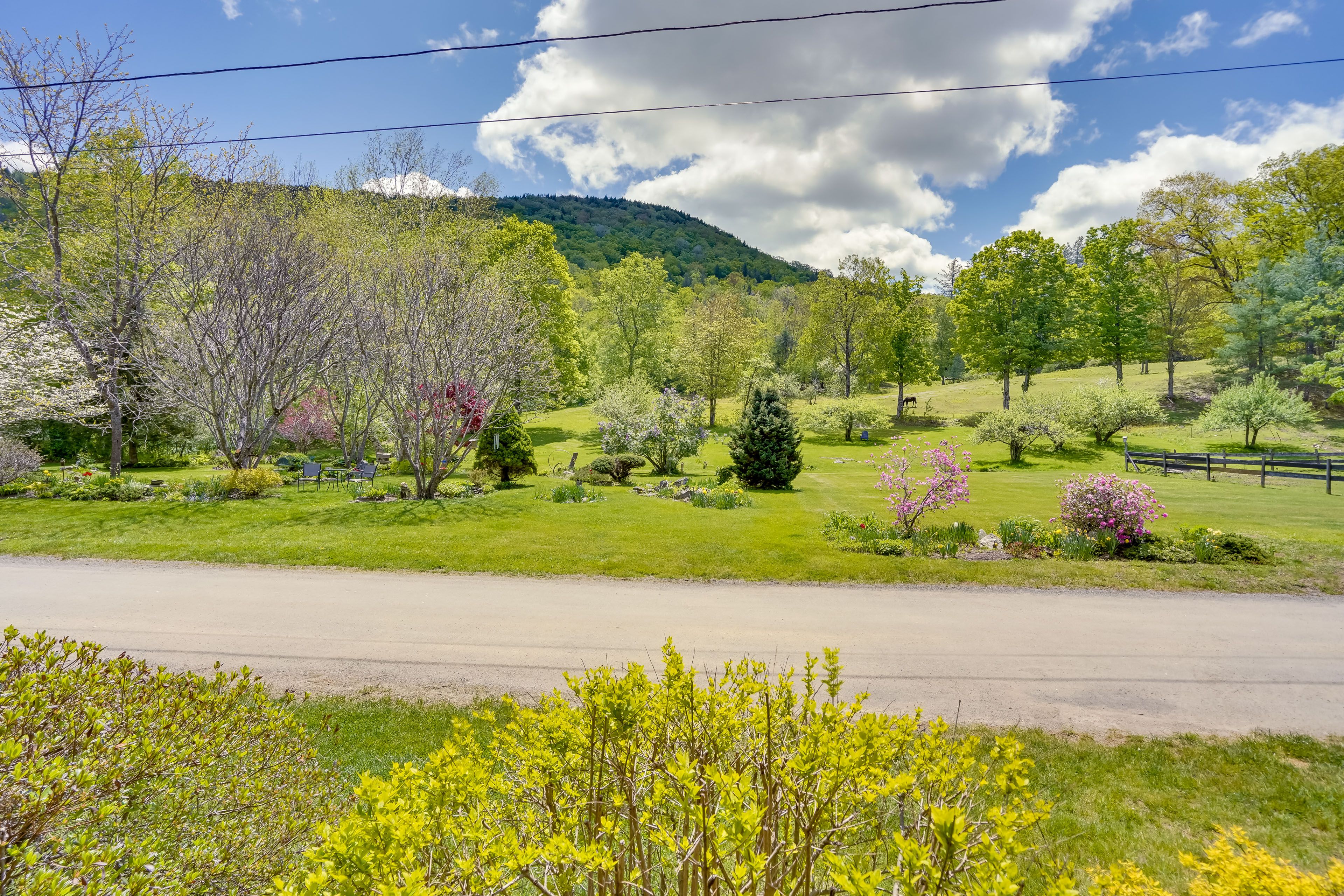 12-Acre Property | Fire Pit | Gas Grill | 2 Kayaks w/ Paddles