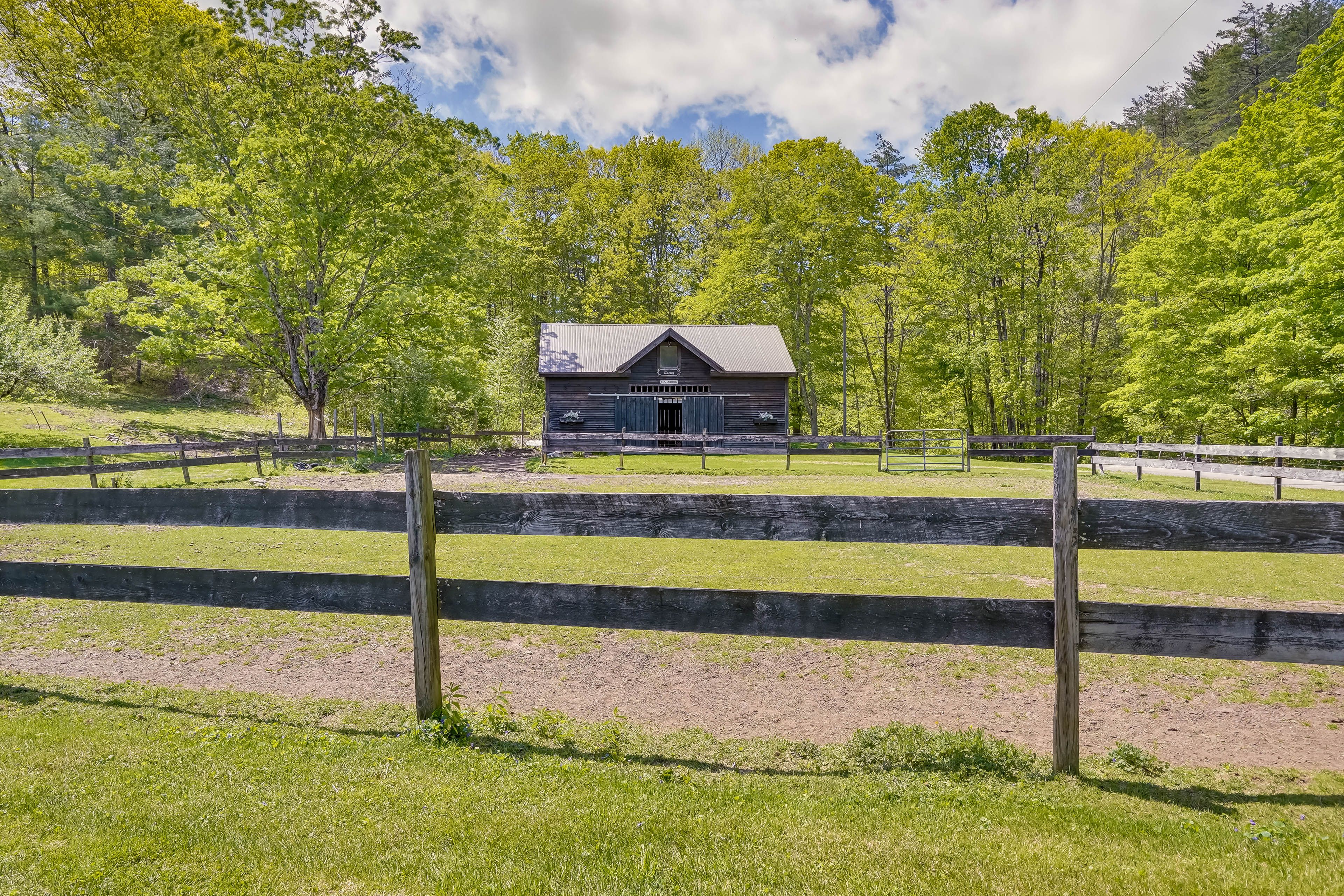 Horses On-Site (Fenced Area)