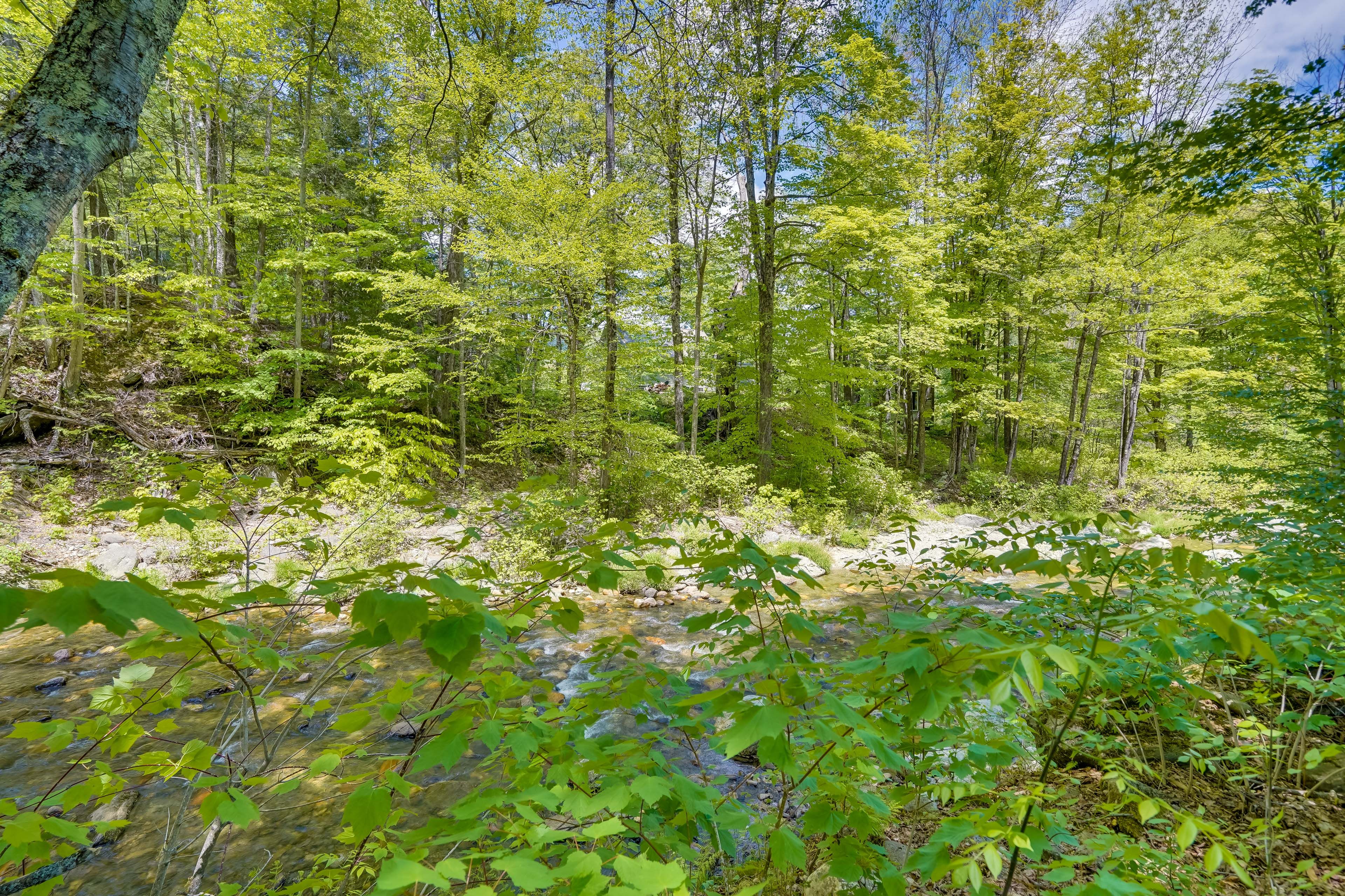 River Access