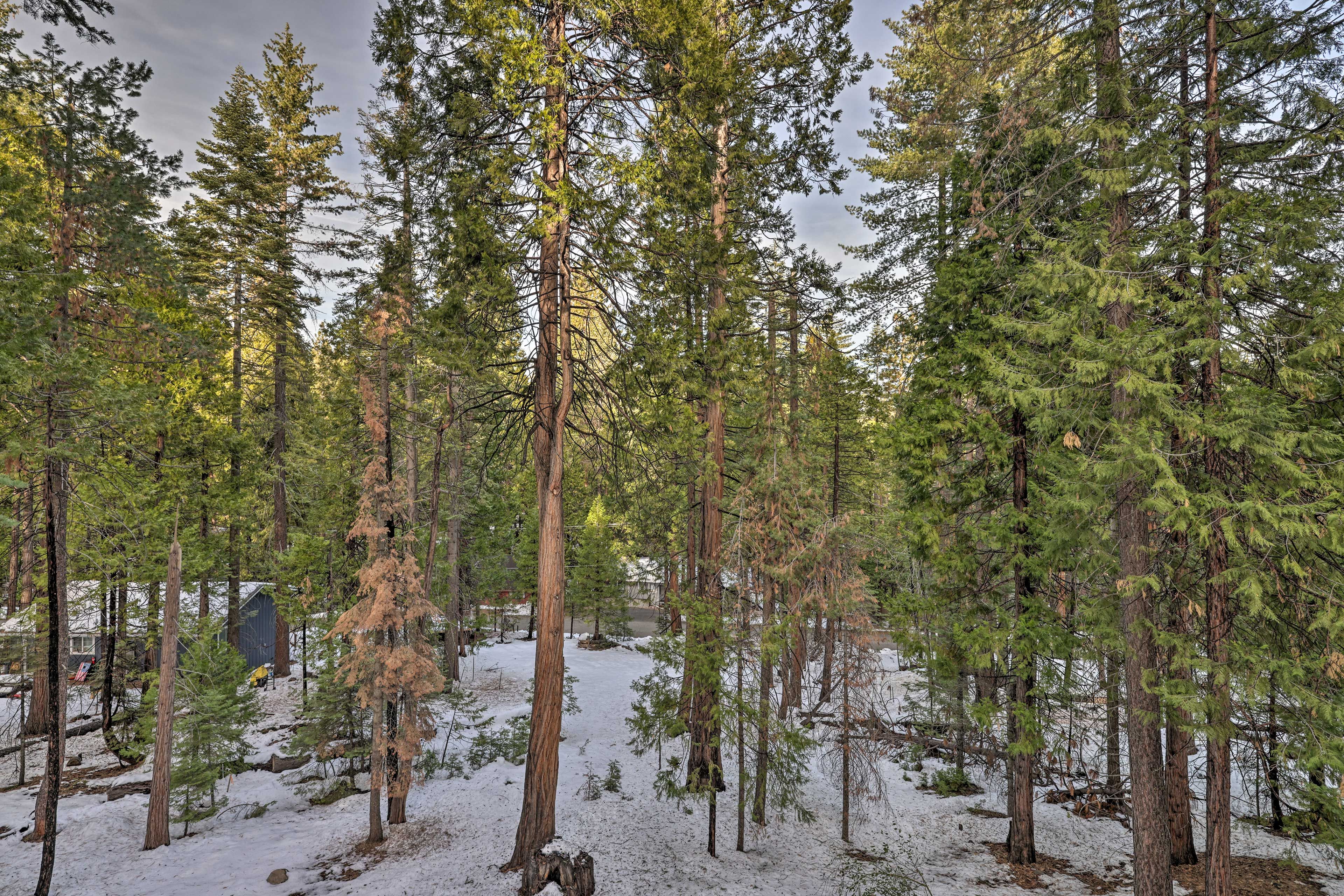 Surrounding Area
