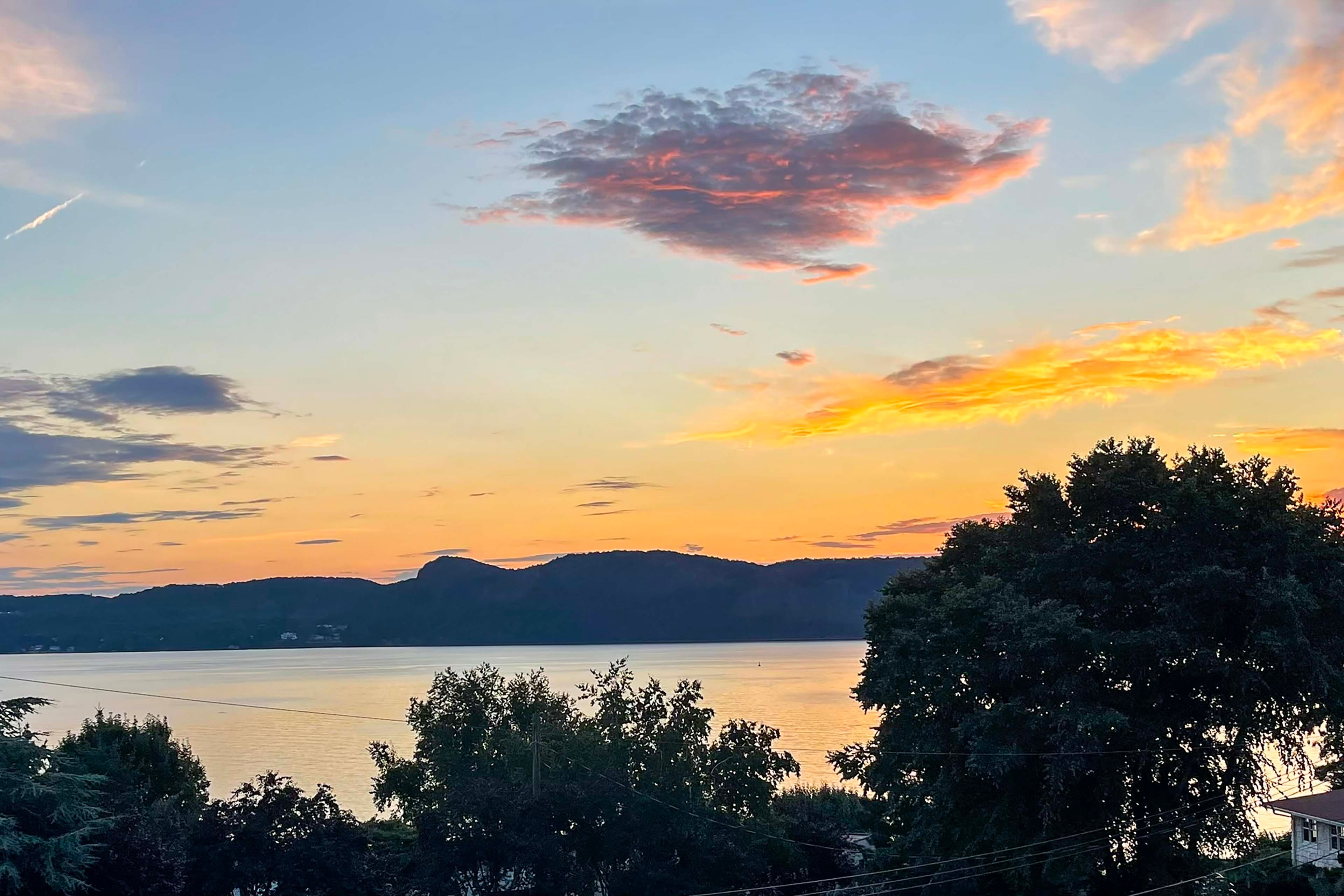 River & Forest Views