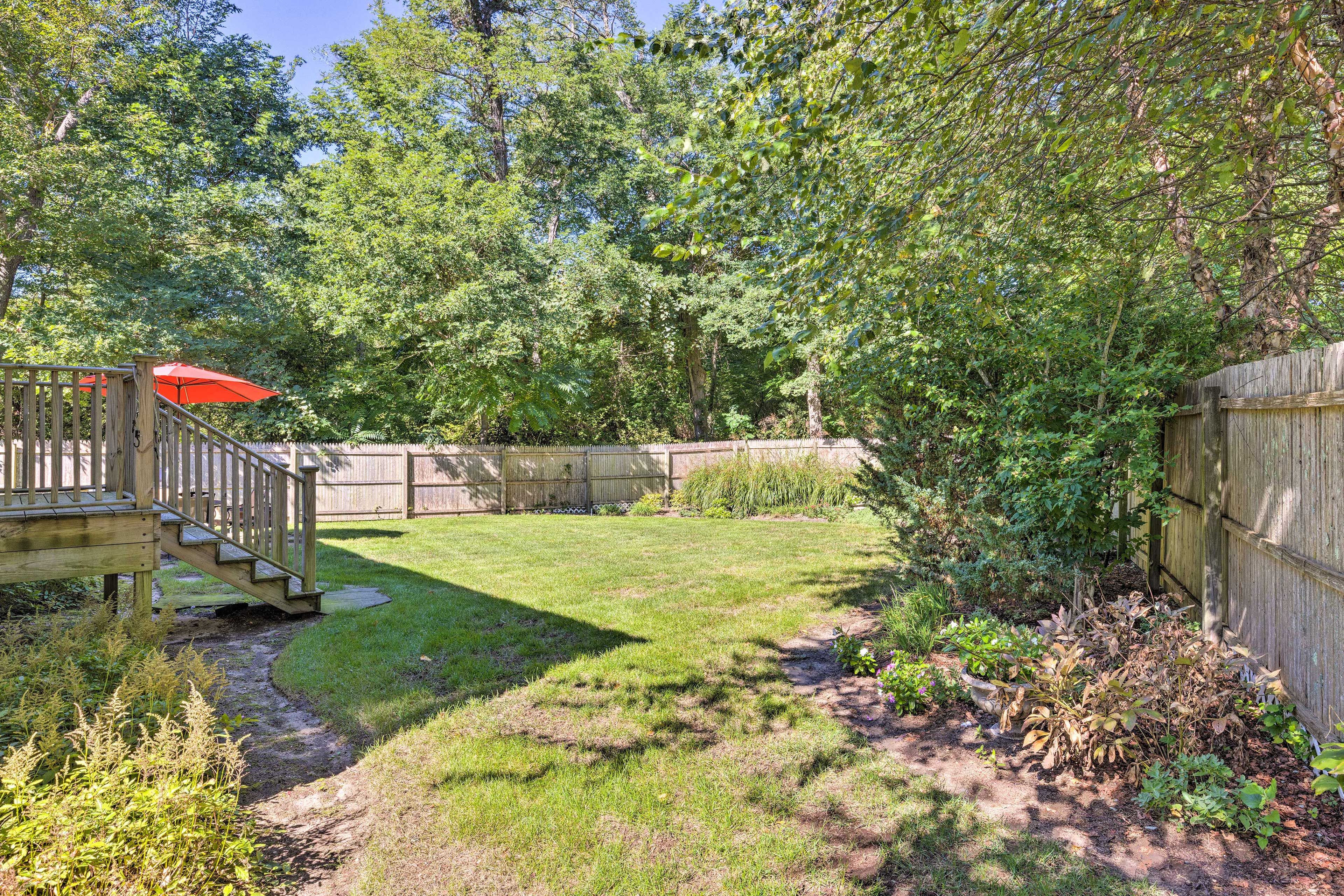Backyard