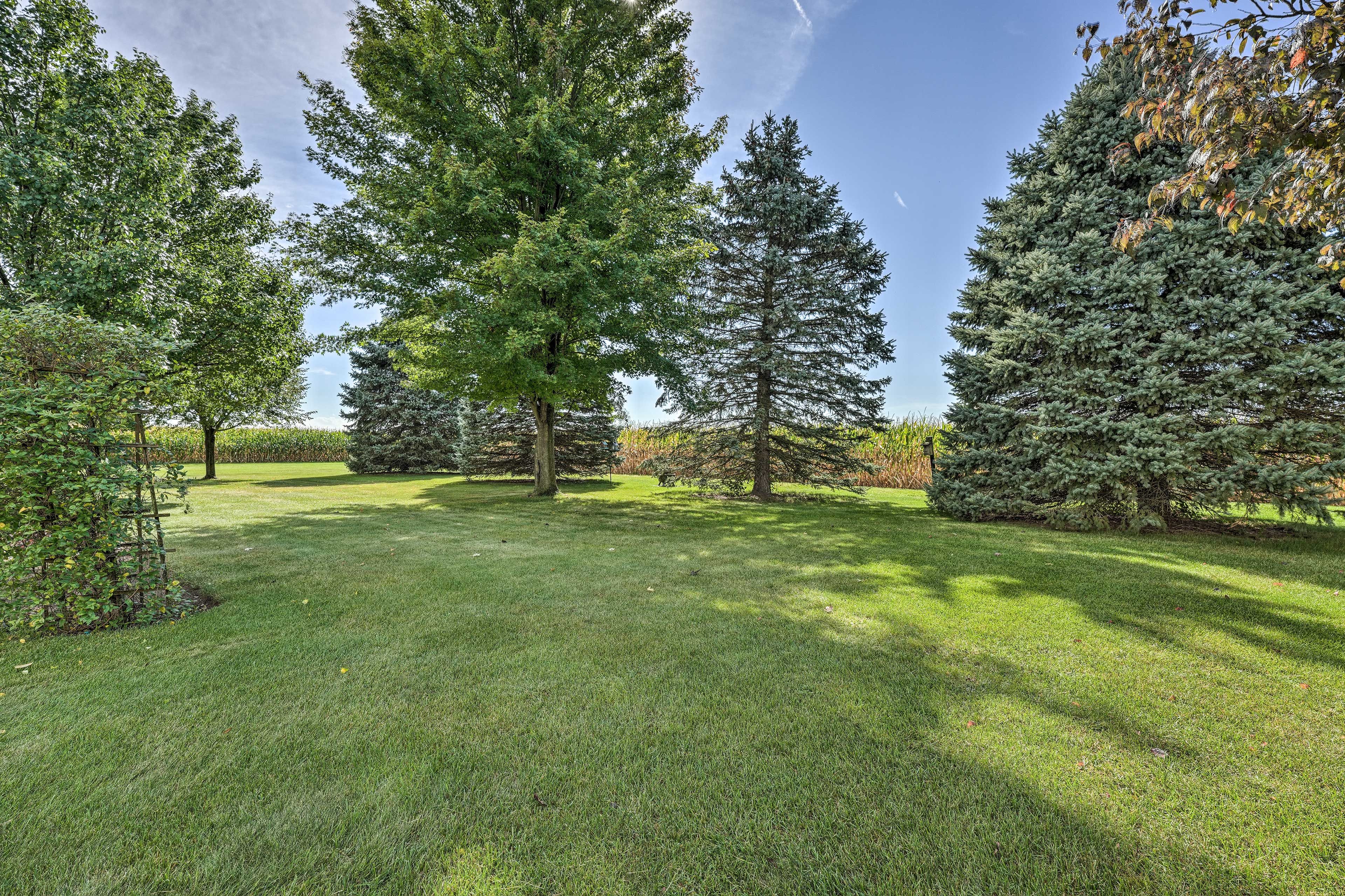 Spacious Yard
