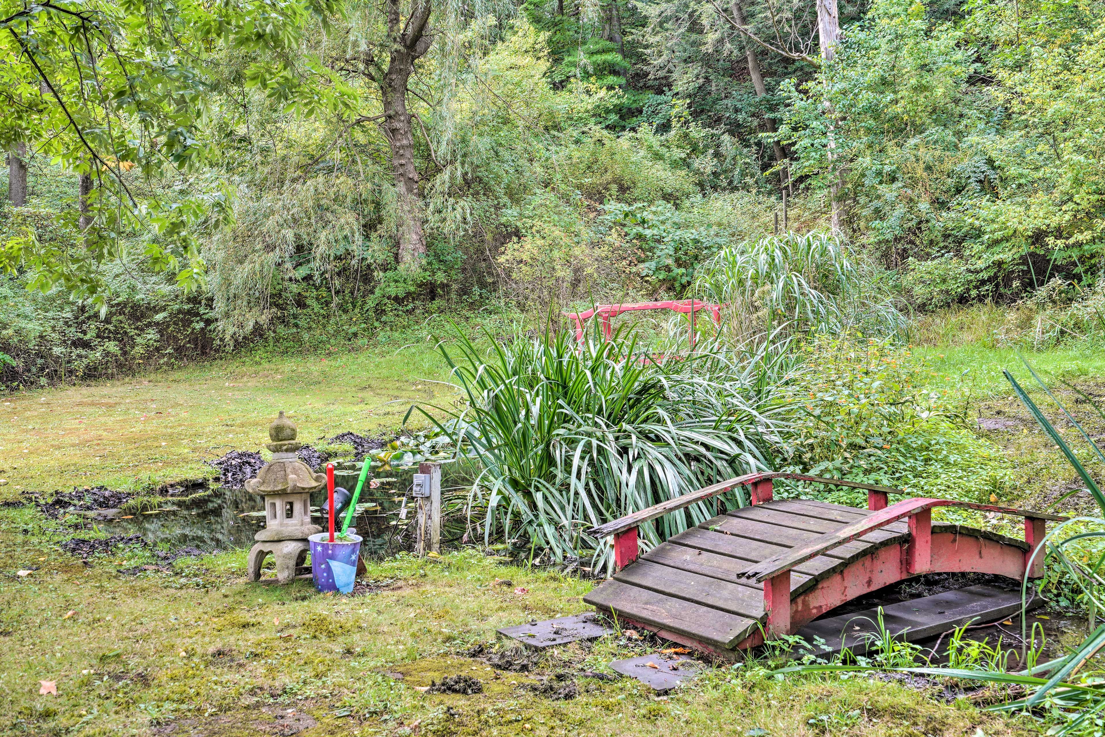 Frog Pond