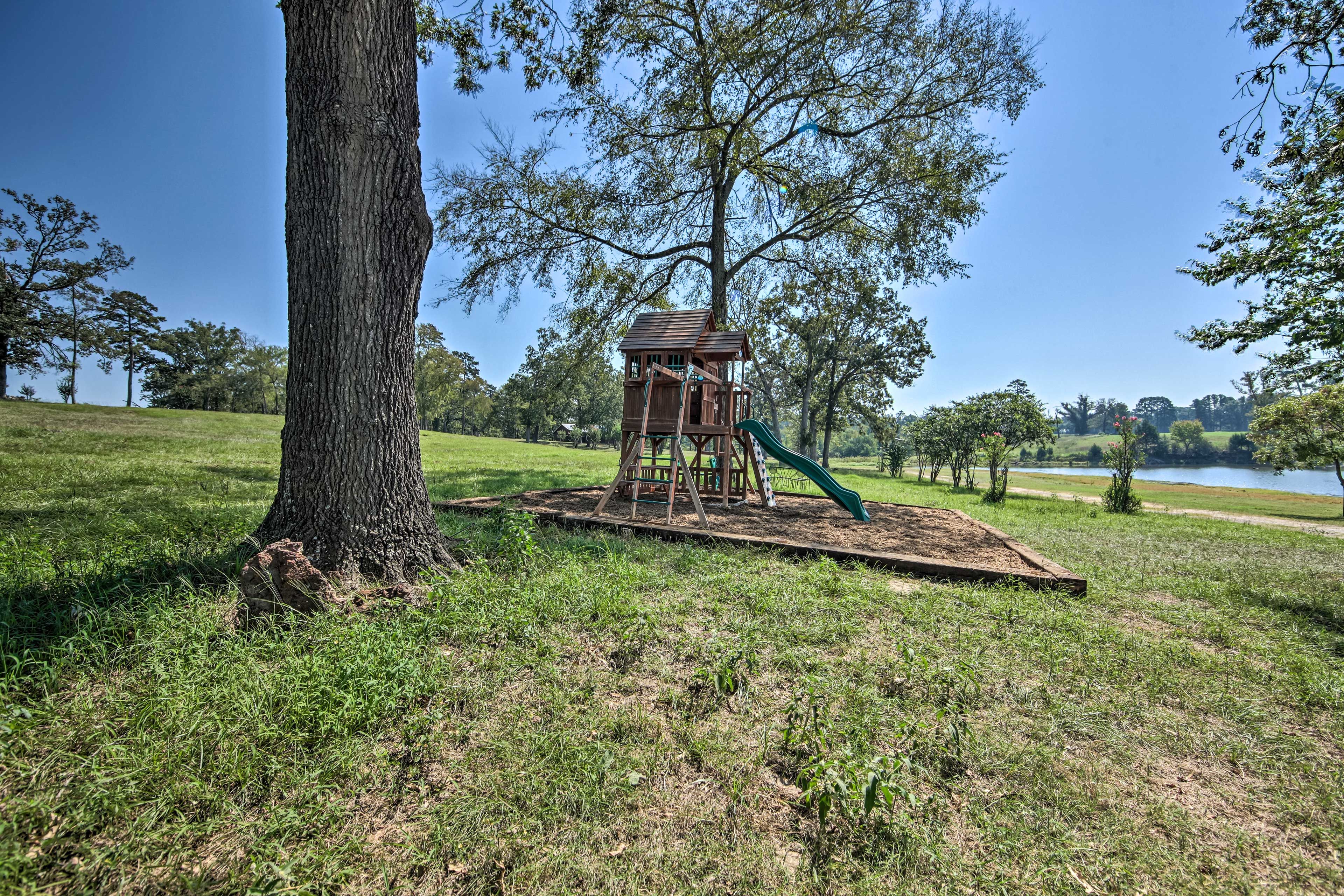 Image 36