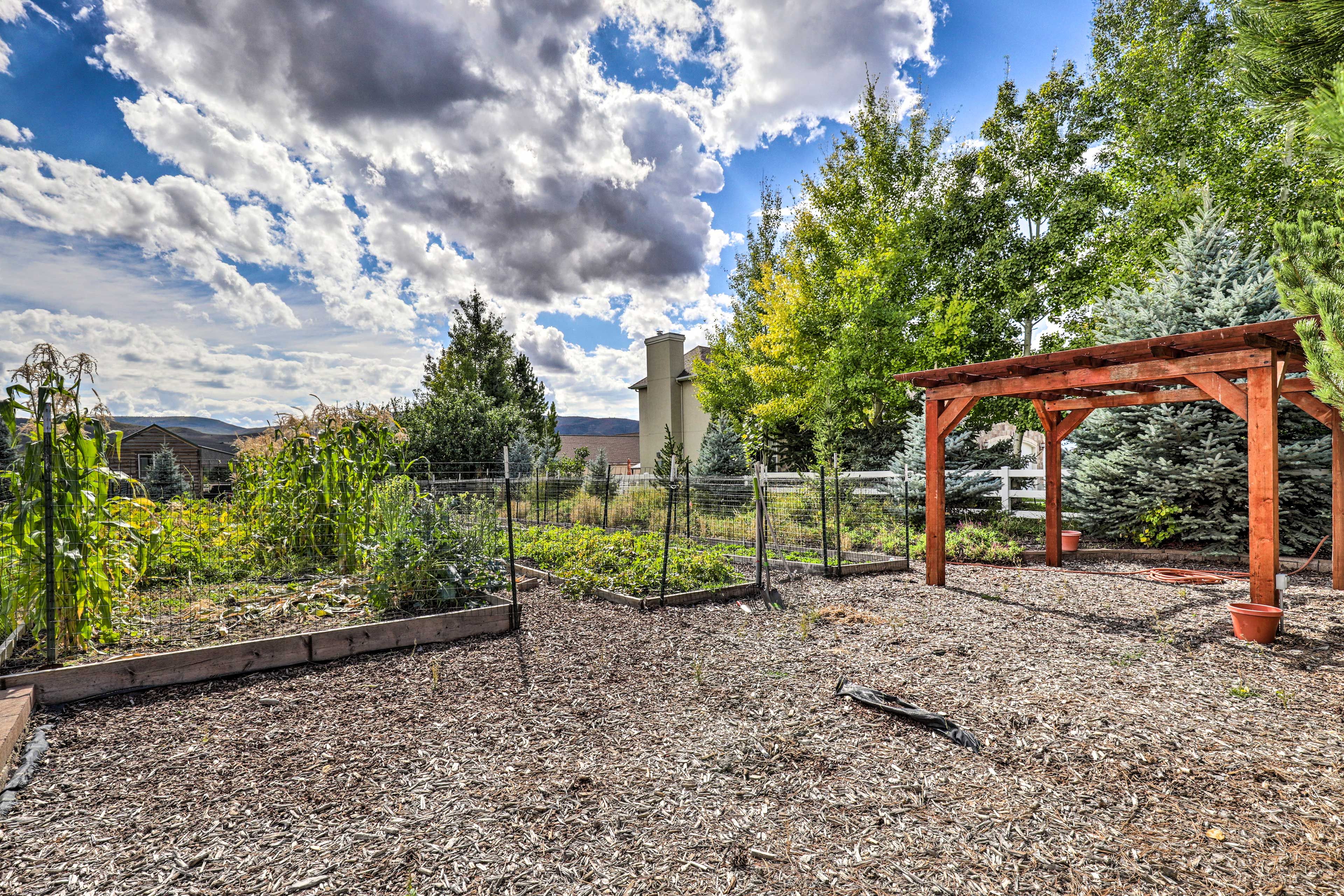 Garden