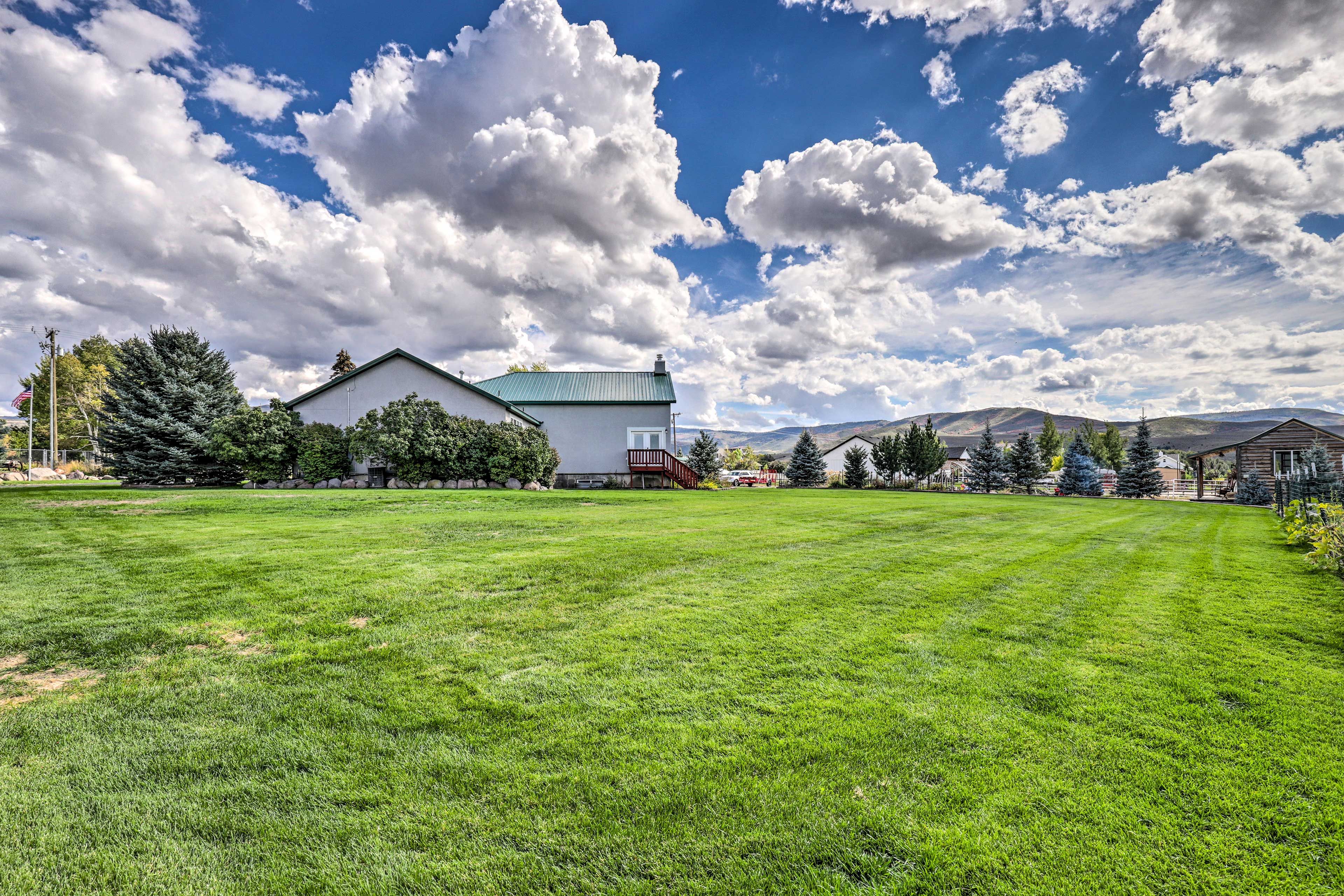 Backyard