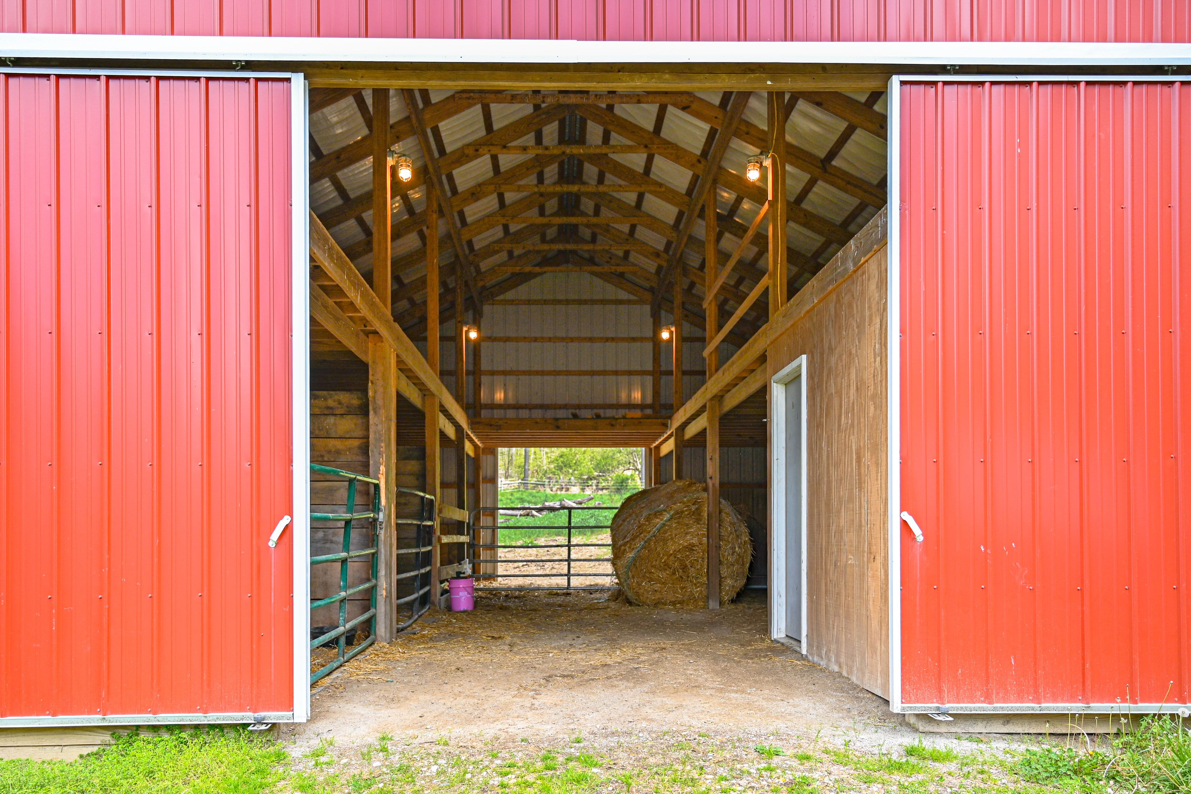 Barn | Horse Stalls | Mini Highland Cows | Chickens