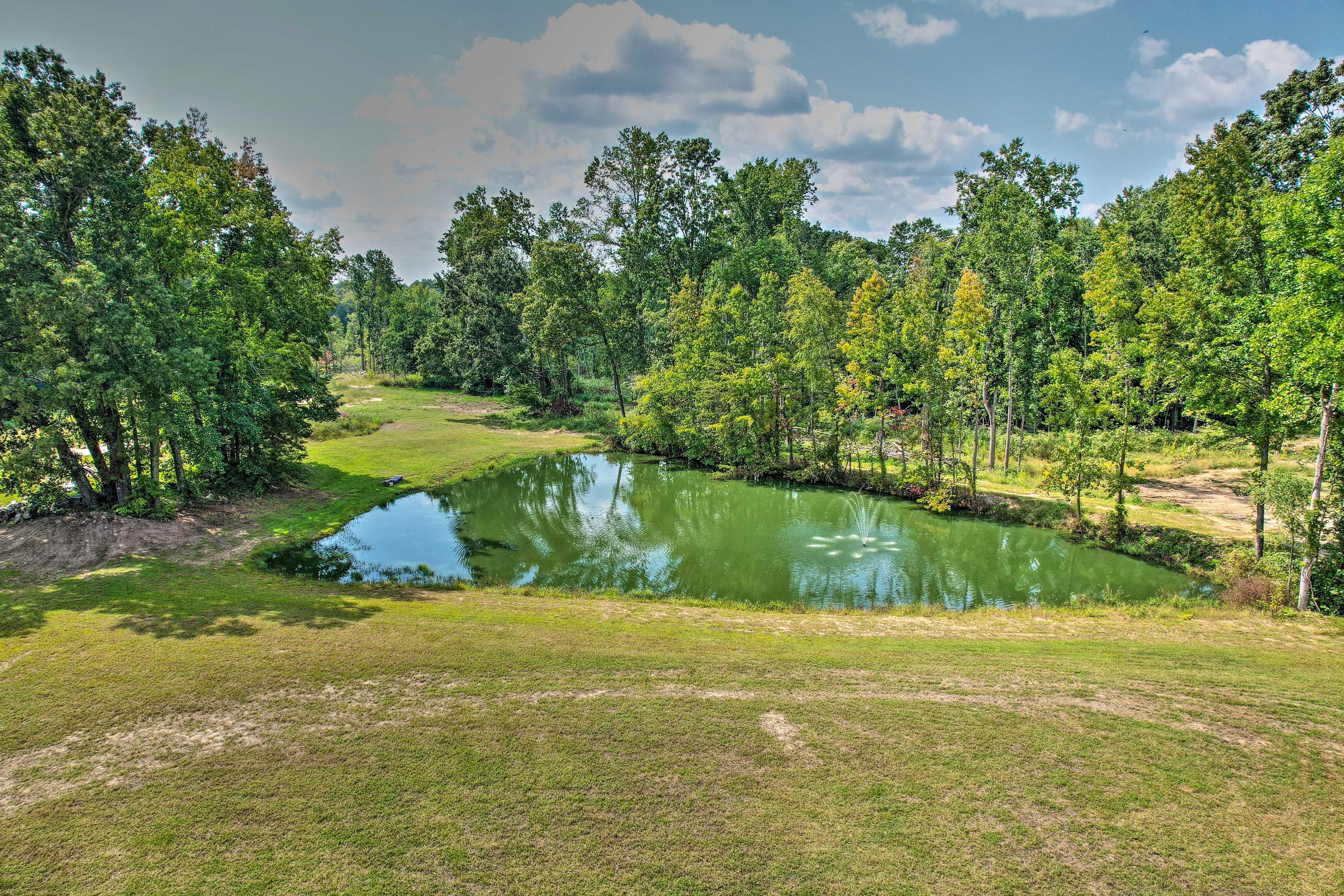 Shared Fishing Pond (Catch & Release) | Fishing Equipment