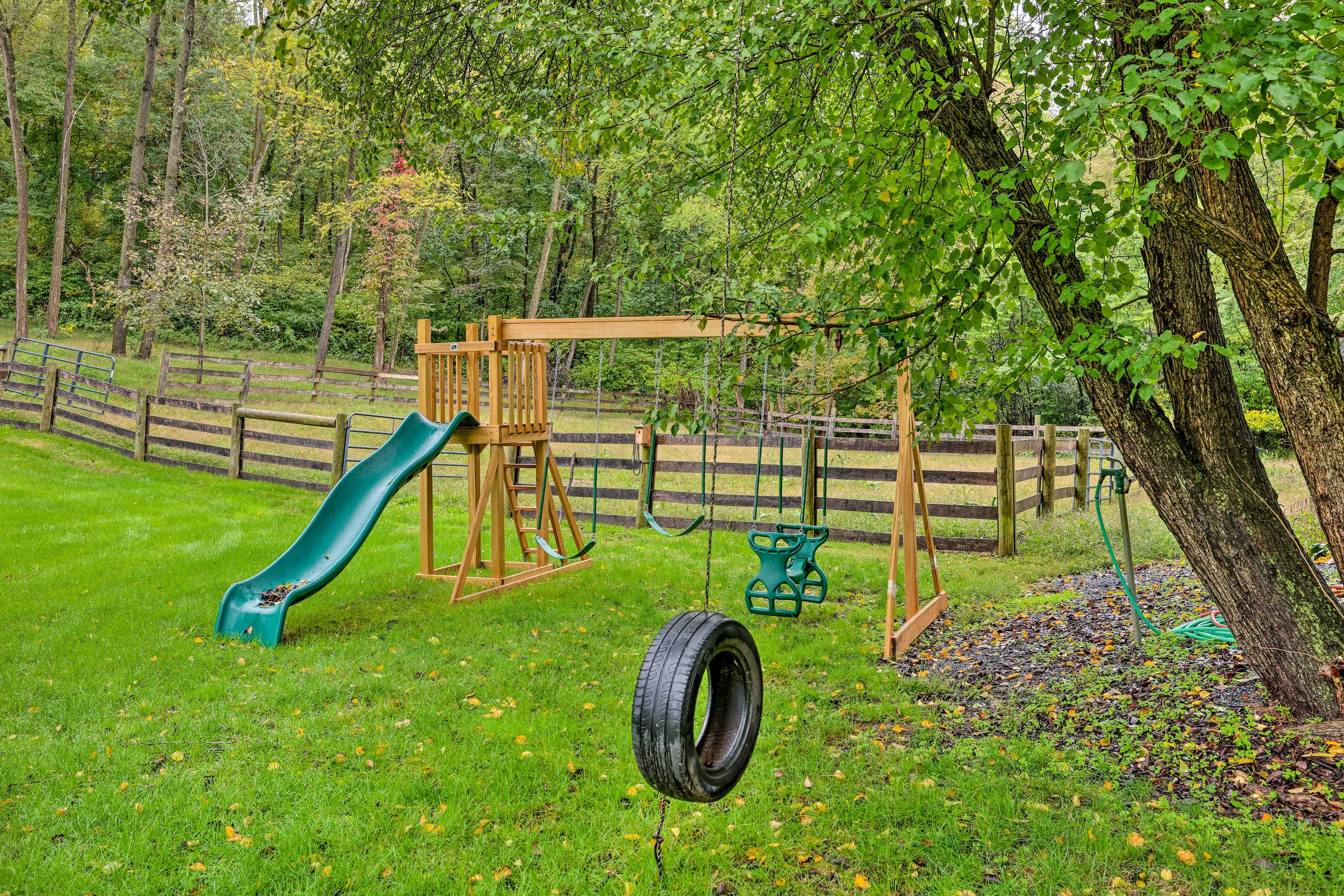 Playground Set | Tire Swing