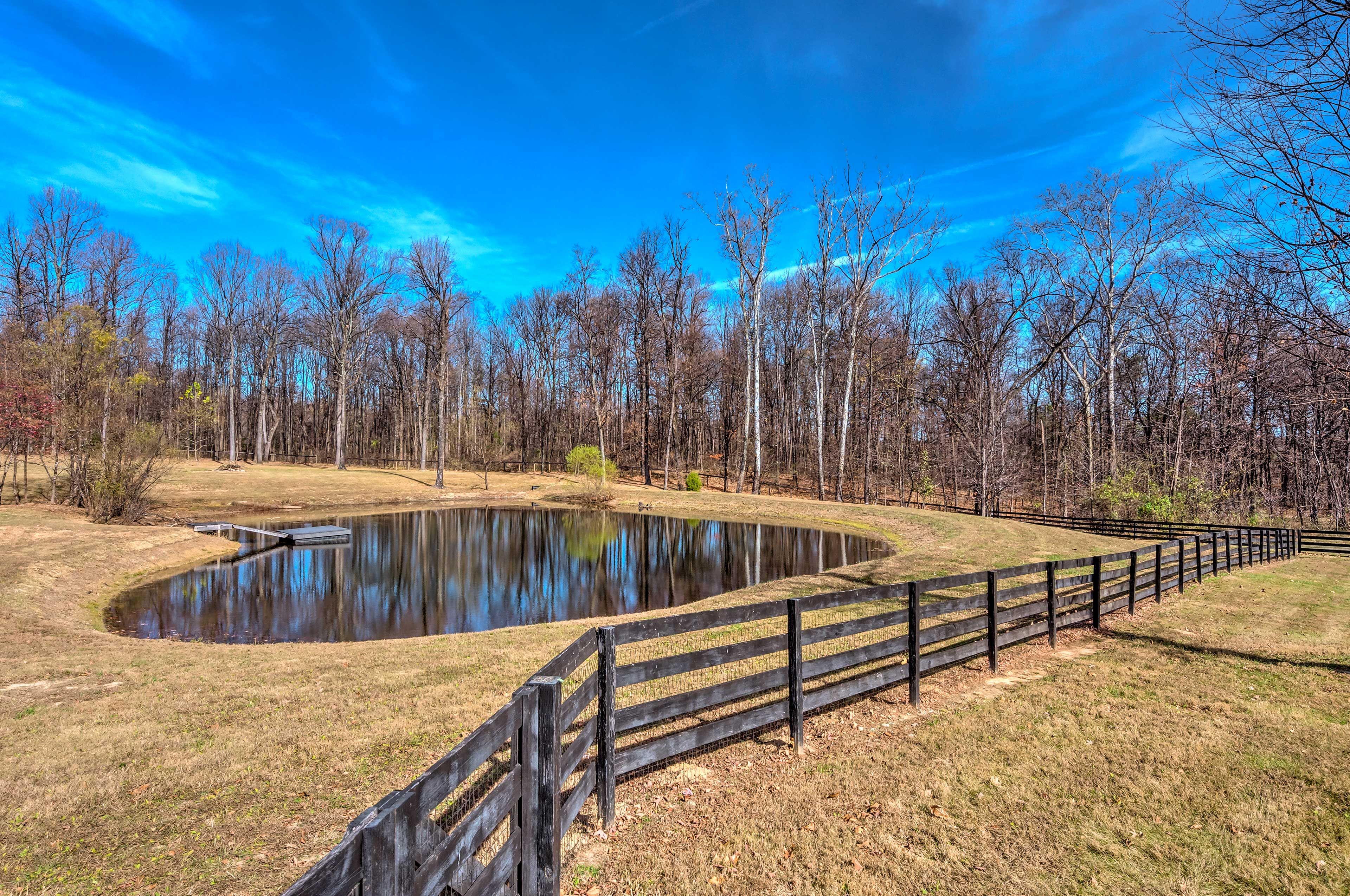 22-Acre Property | Stocked Fishing Pond | Woods Access