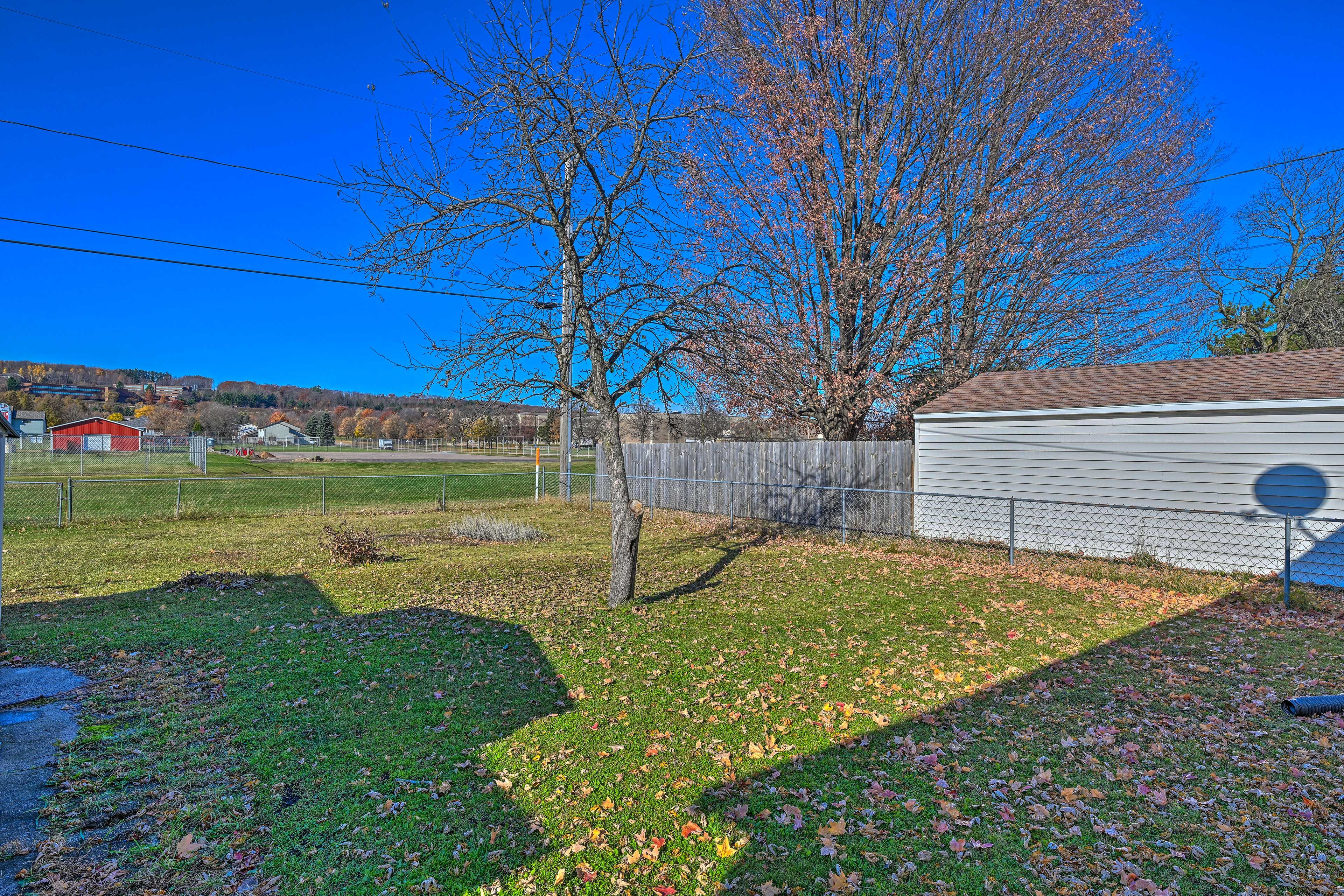 Fenced Yard