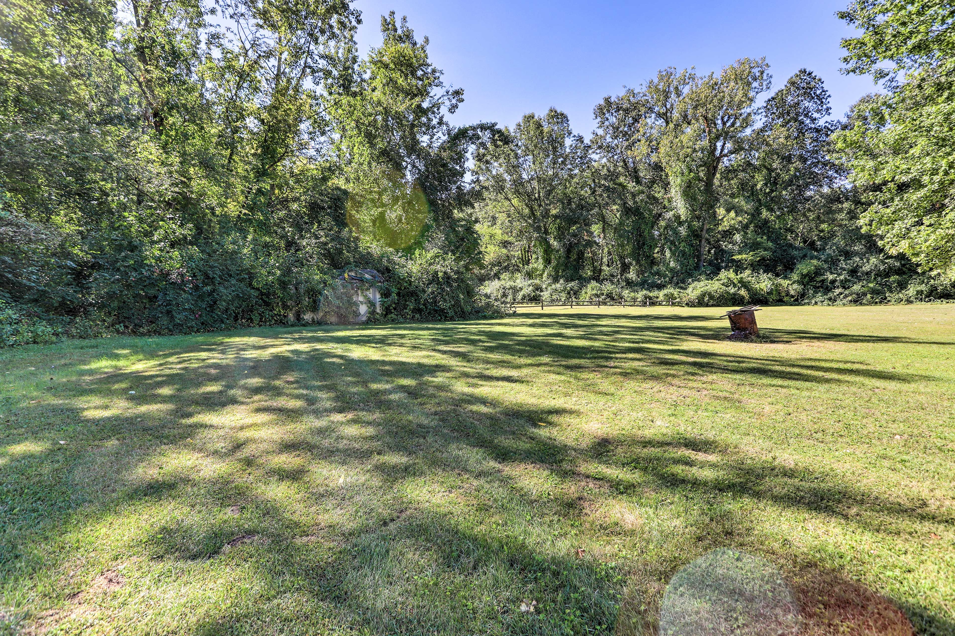 Backyard