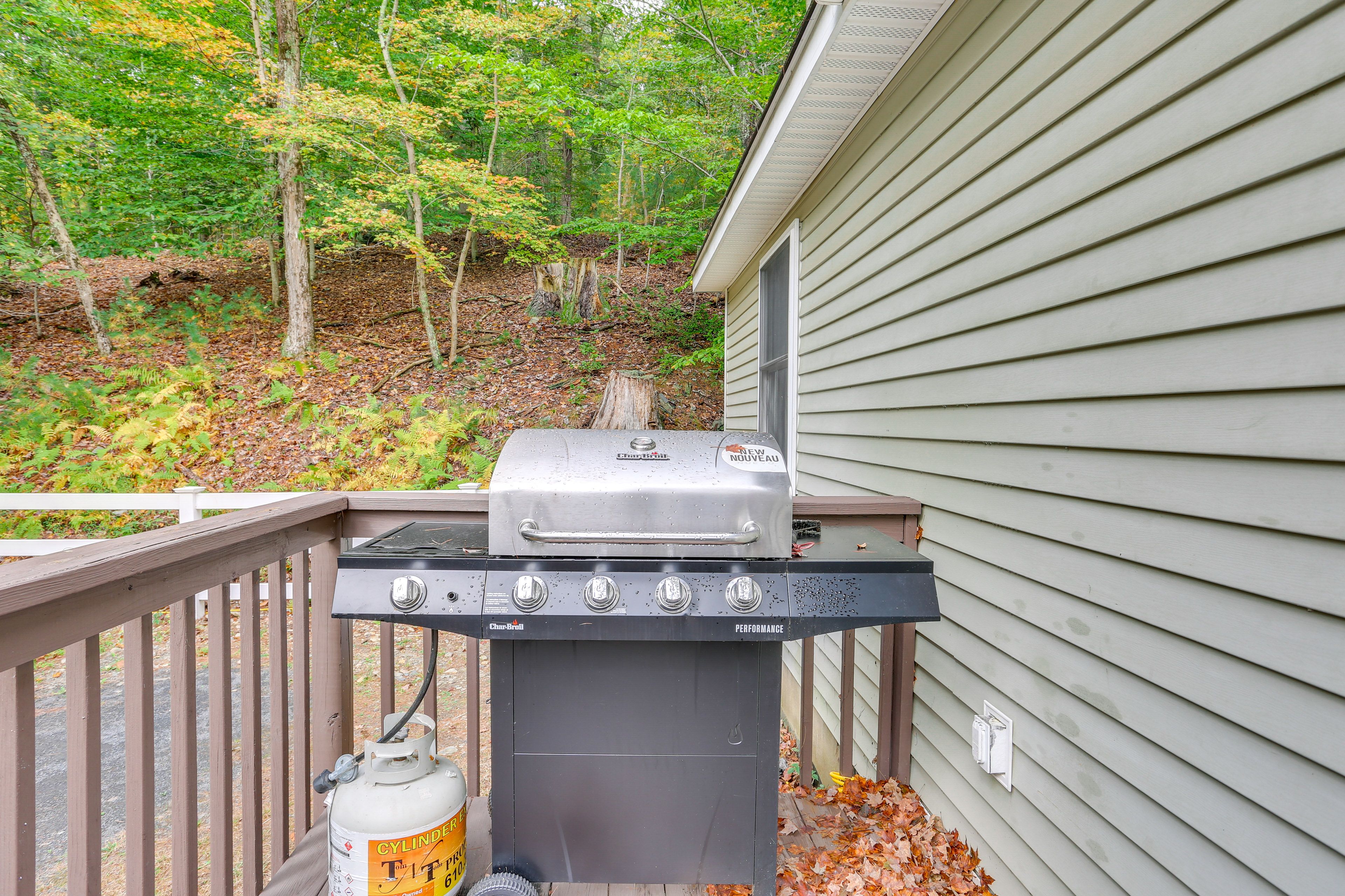 Porch | Gas Grill