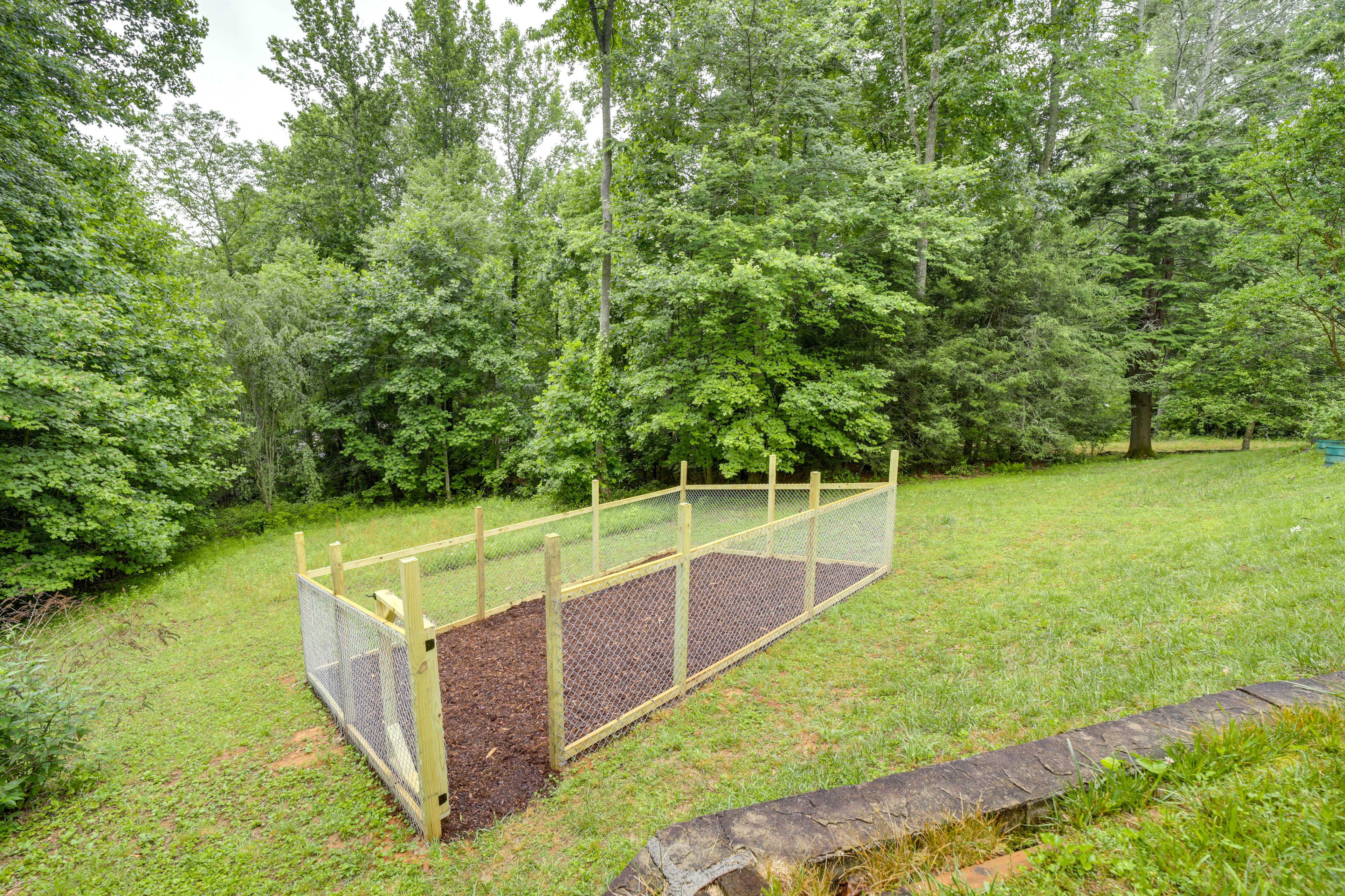 Dog Run