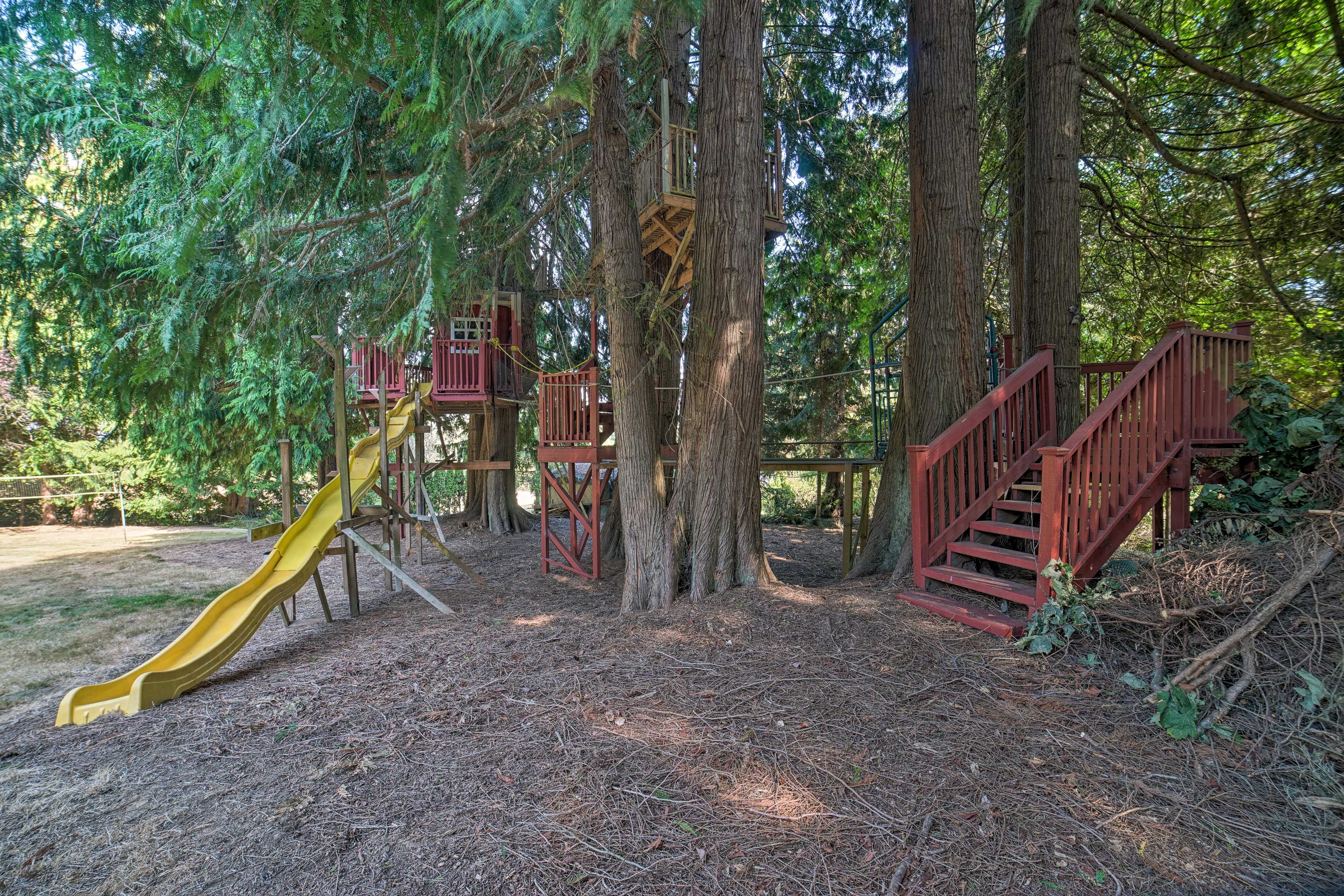 Treehouse | Zipline | Slide | Rope Bridges