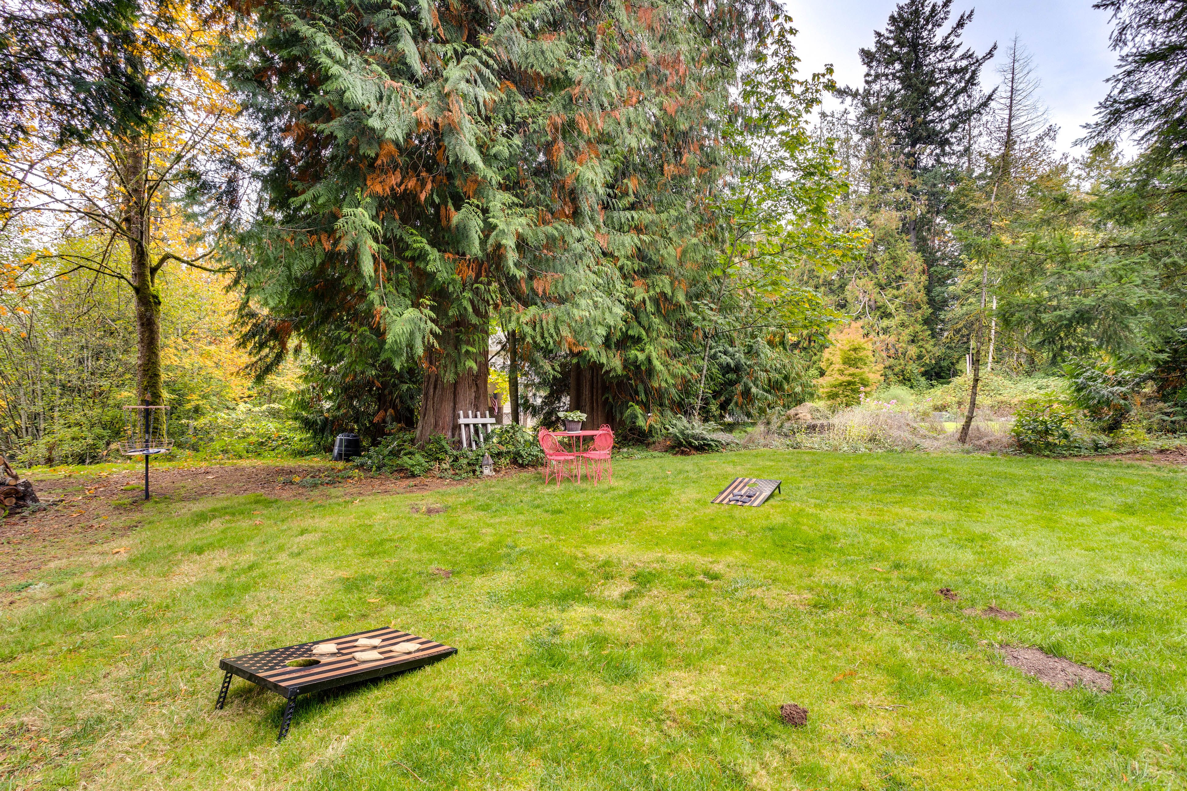 Shared Backyard Space | Cornhole | Disc Golf