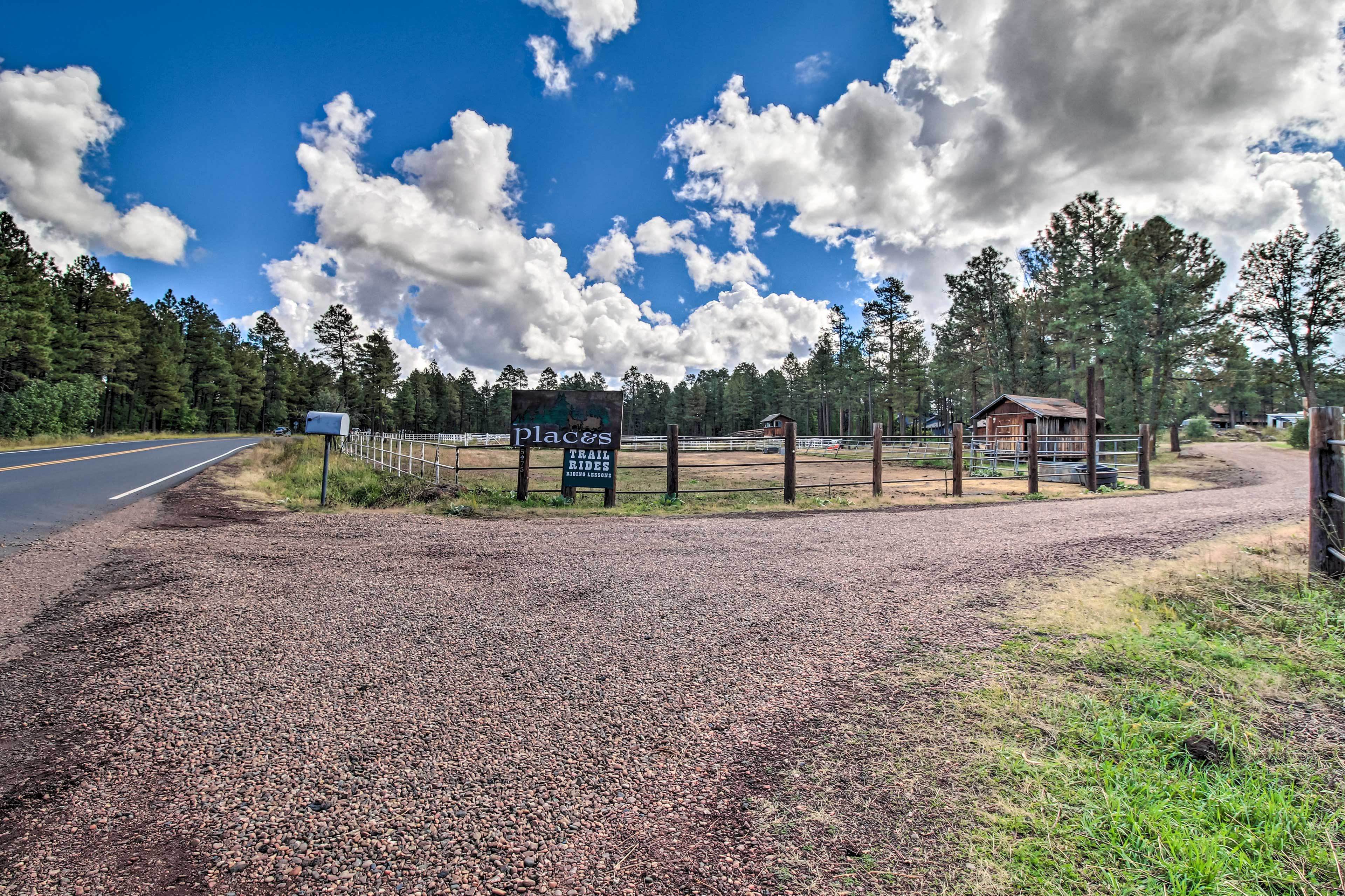 Community Horseback Riding Lessons (Addt'l Fee, Paid On-Site)