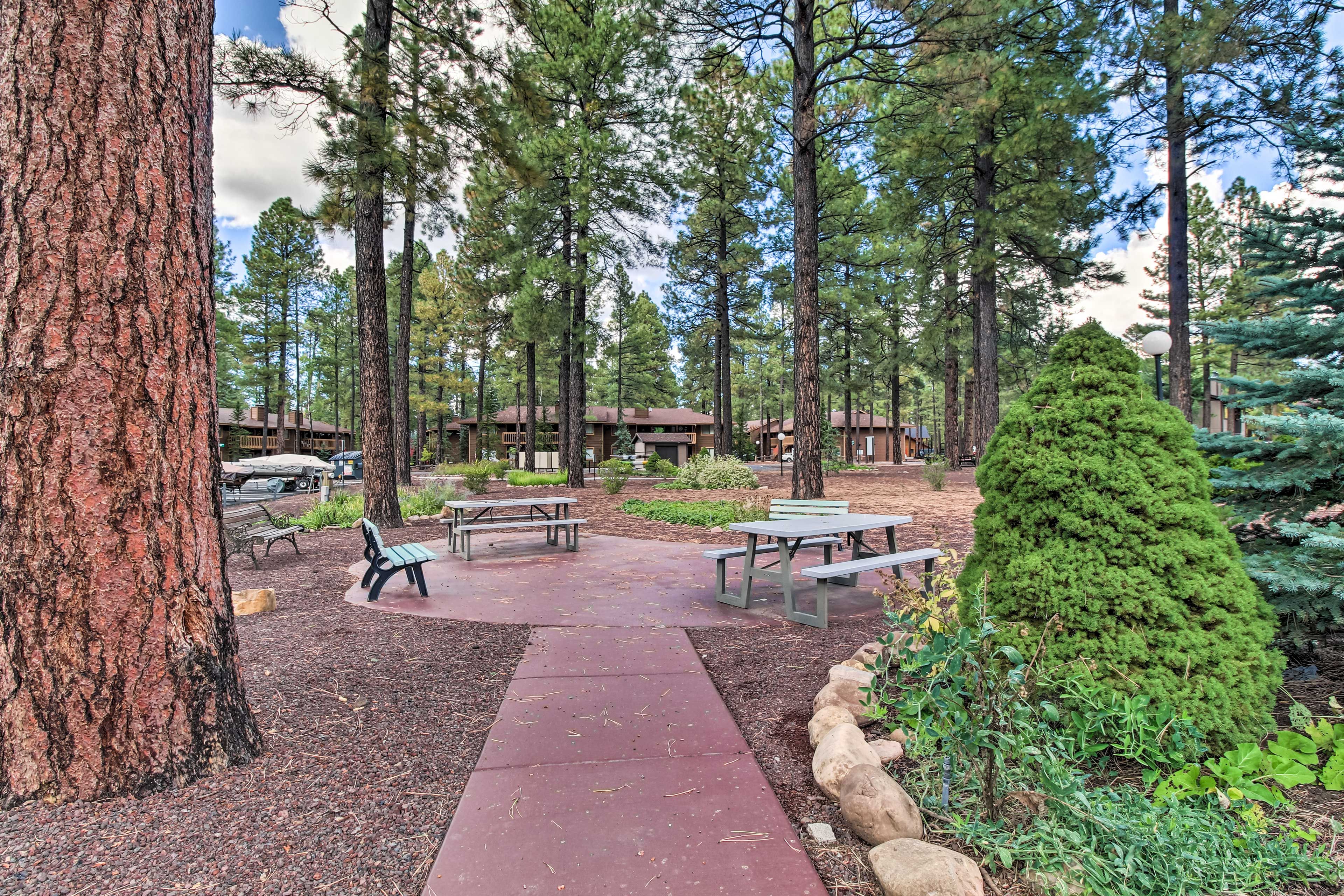 Community Area
