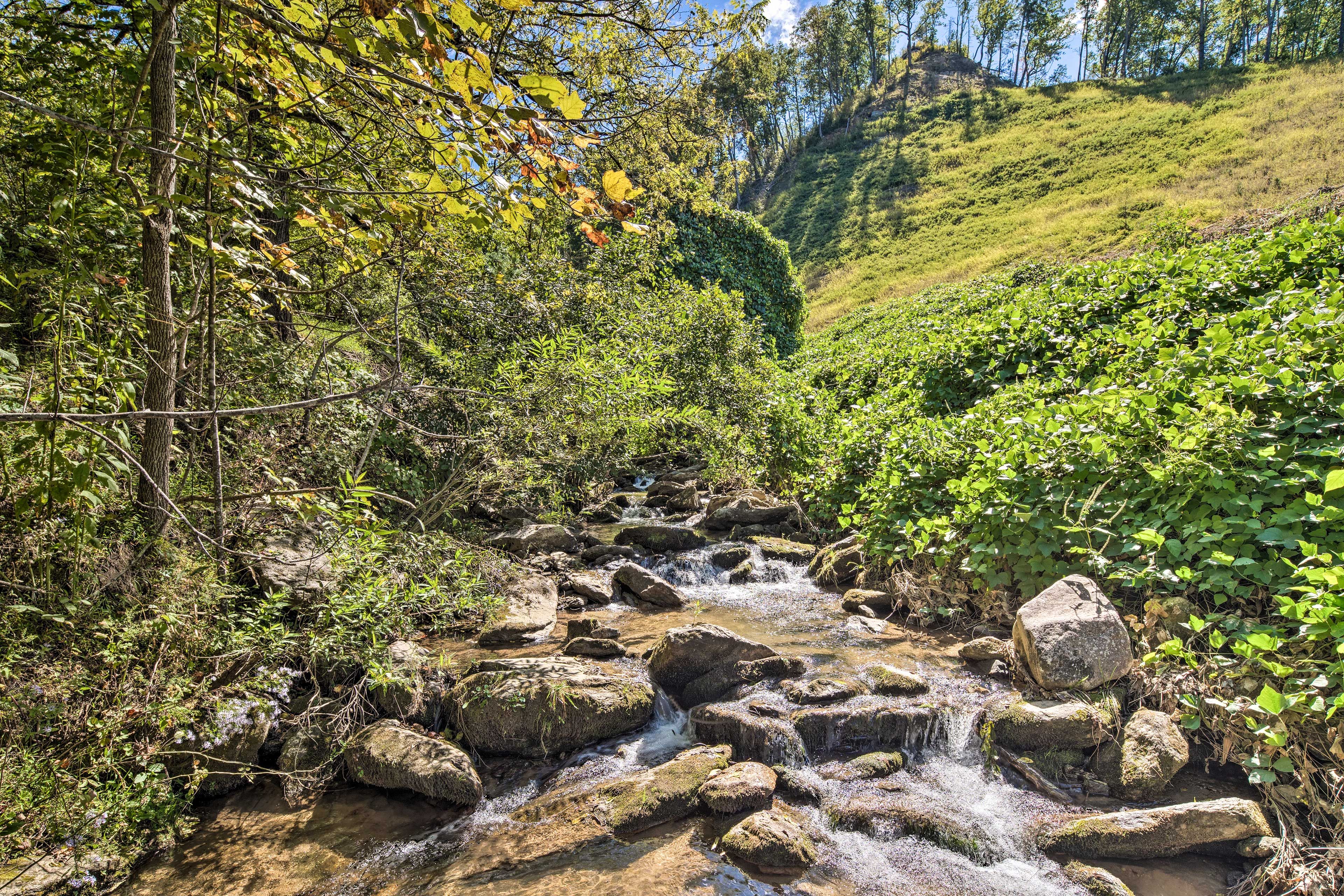 On-Site Stream
