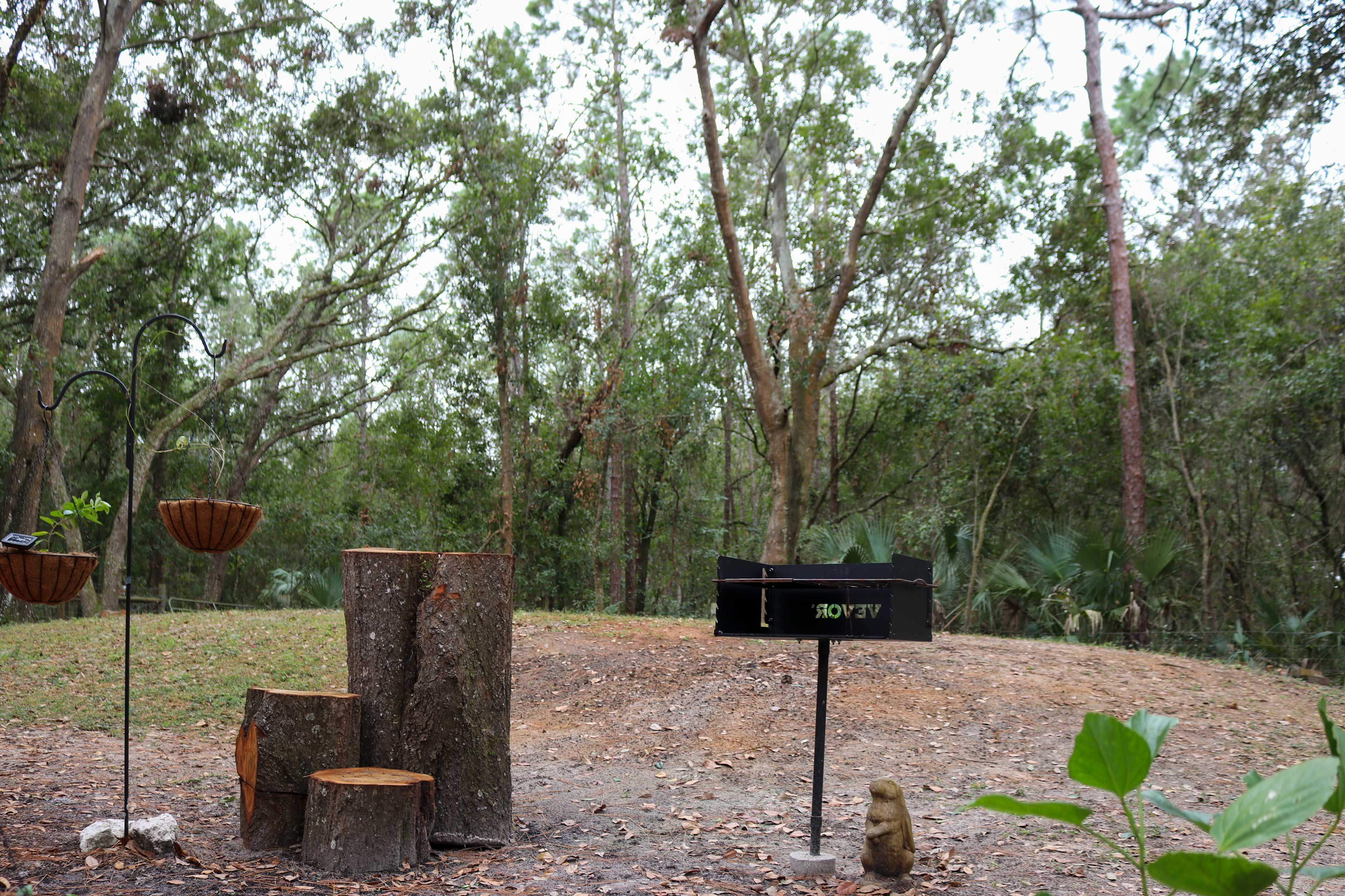 Image 31