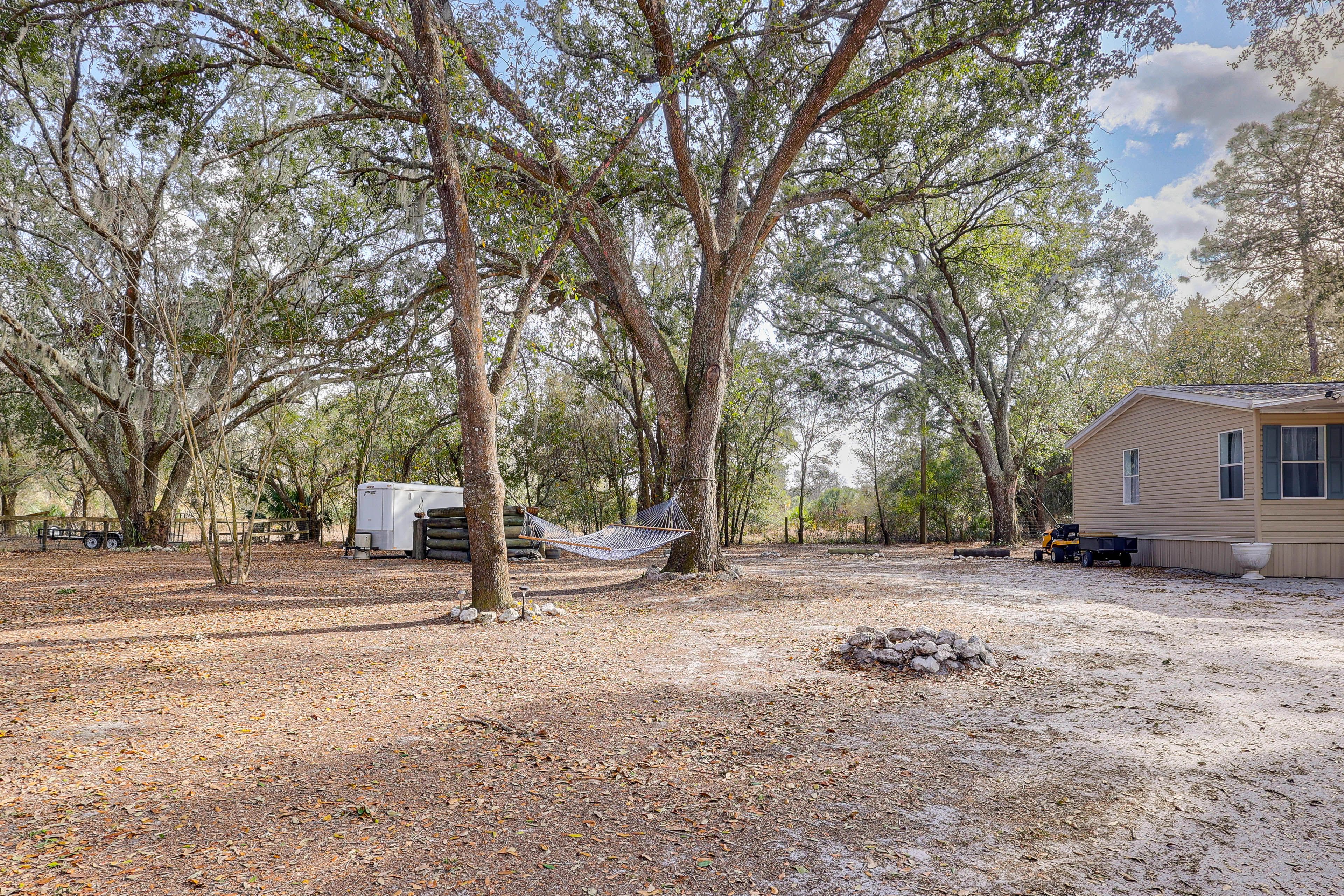 Yard Area | Fire Pit | Charcoal Grill | Hammock
