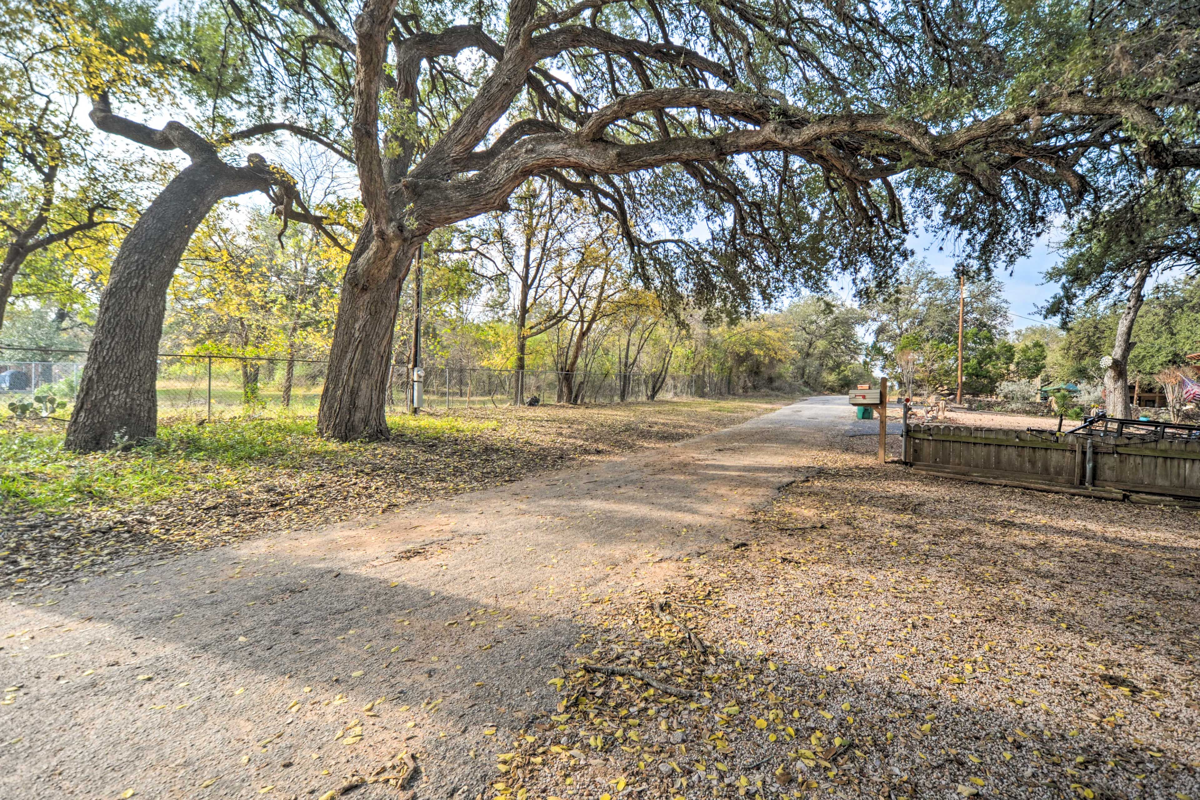 Wooded Street | Start of Driveway