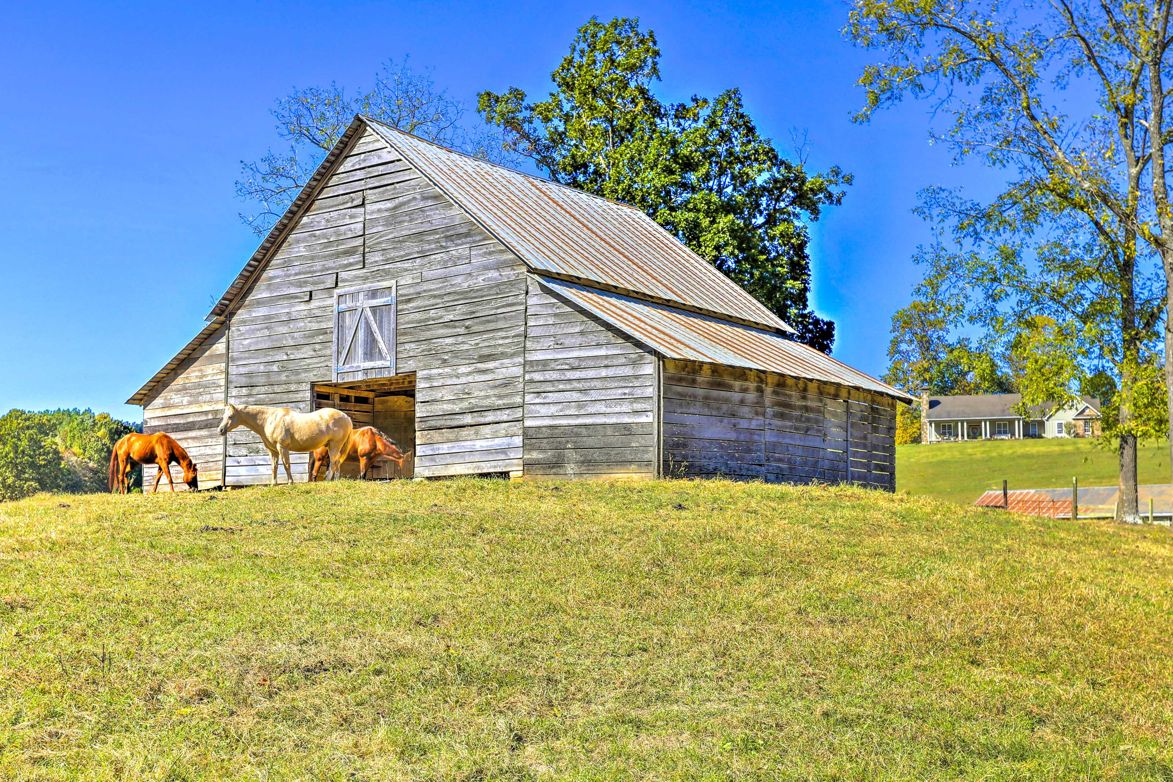 Barn Across from Vacation Rental