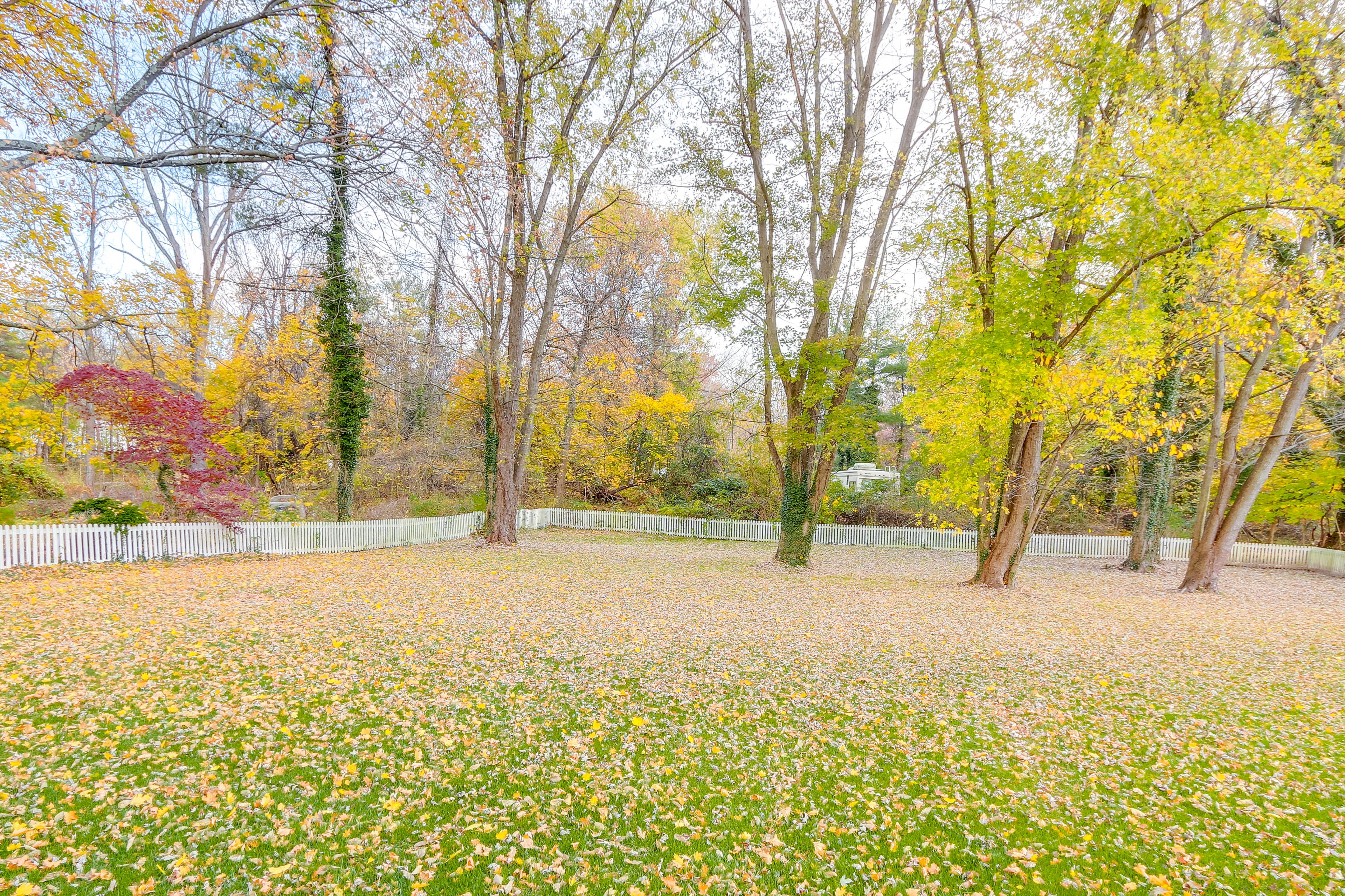 Partially Fenced-In Yard