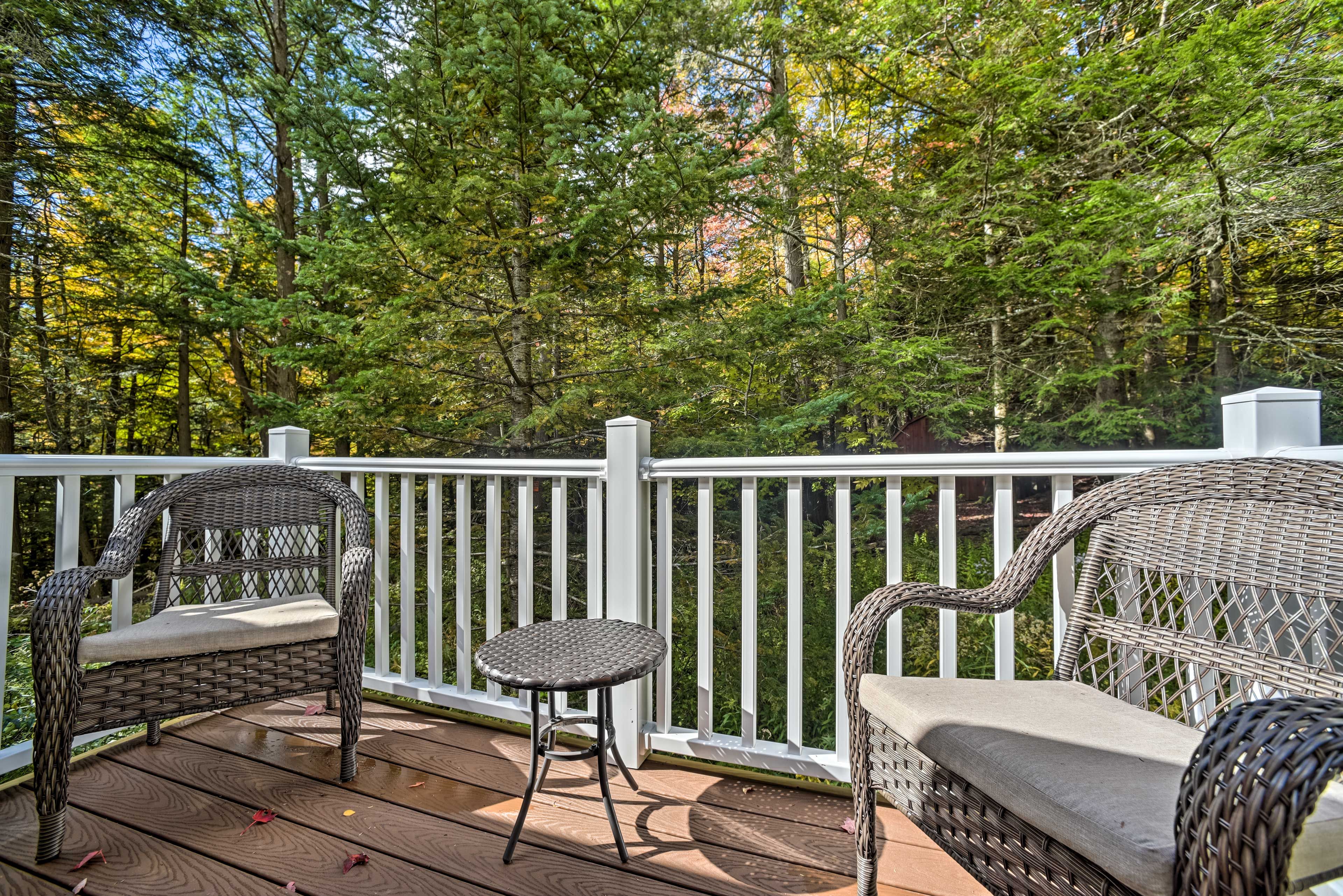 Furnished Back Deck