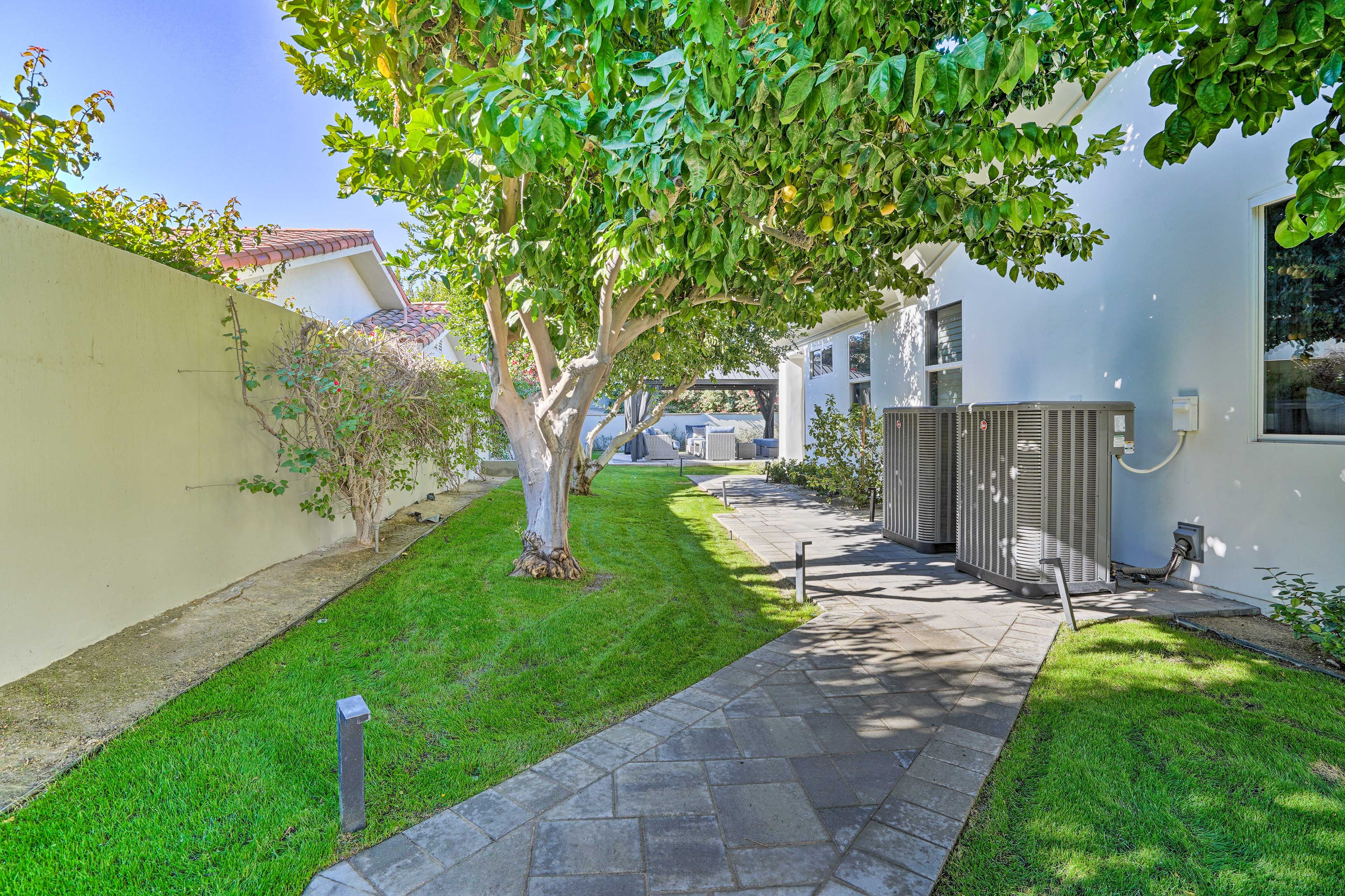 Private Yard | Garden