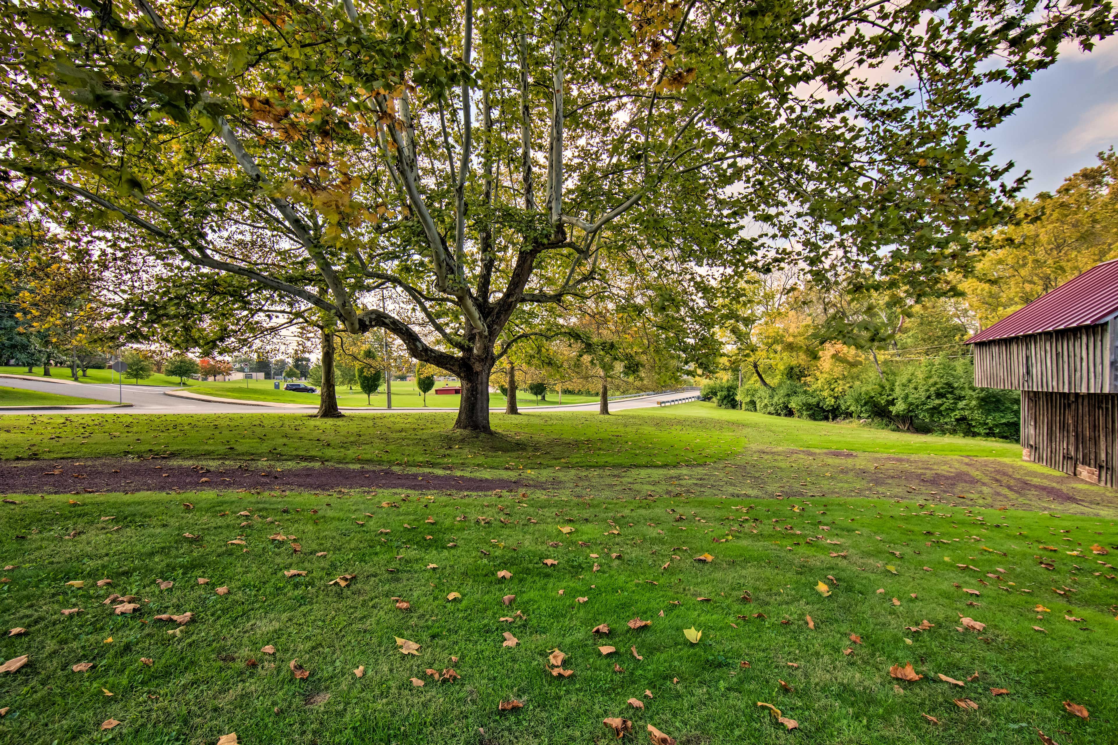 Surrounding Neighborhood
