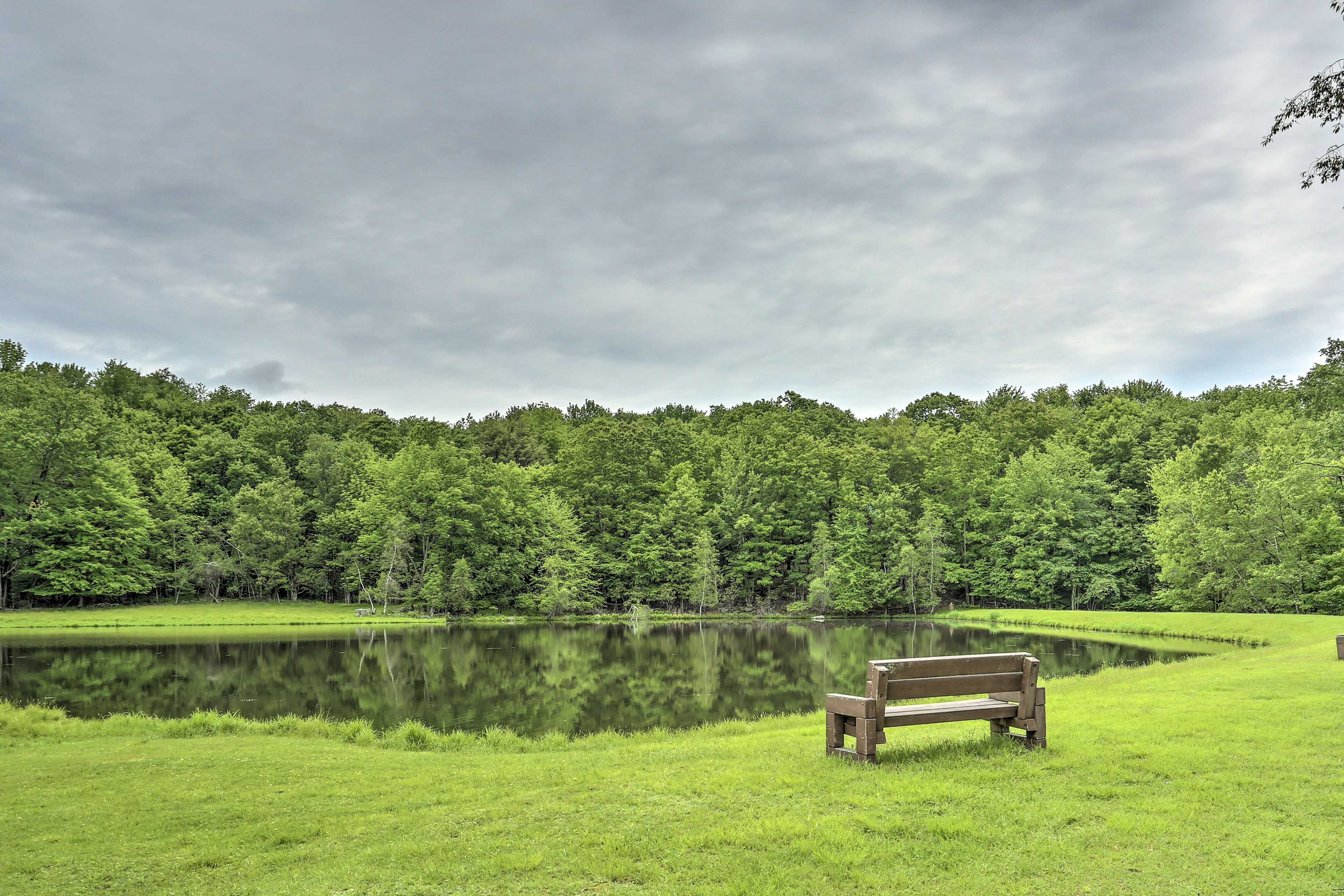 Community Pond