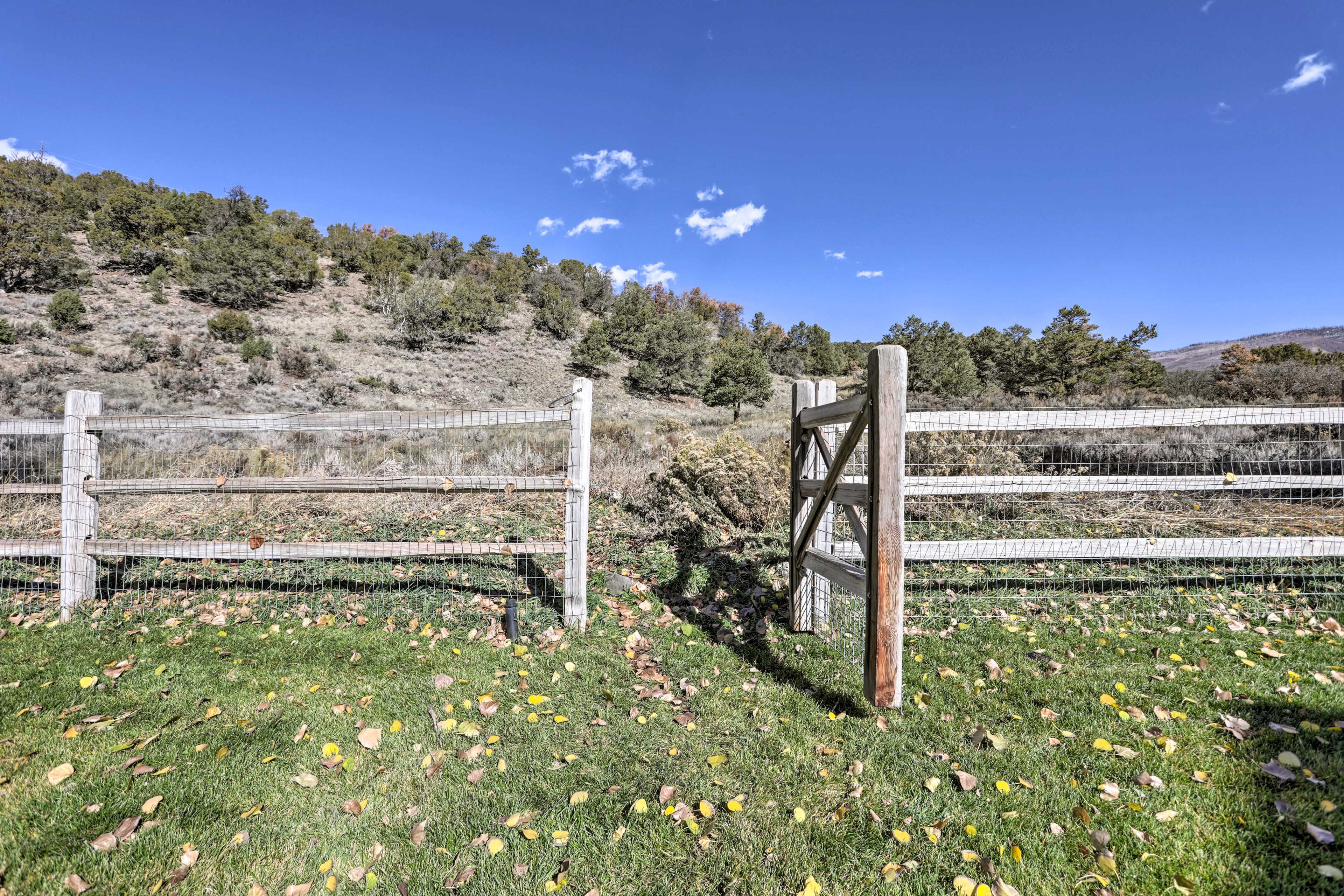 Fenced-In Yard | Views