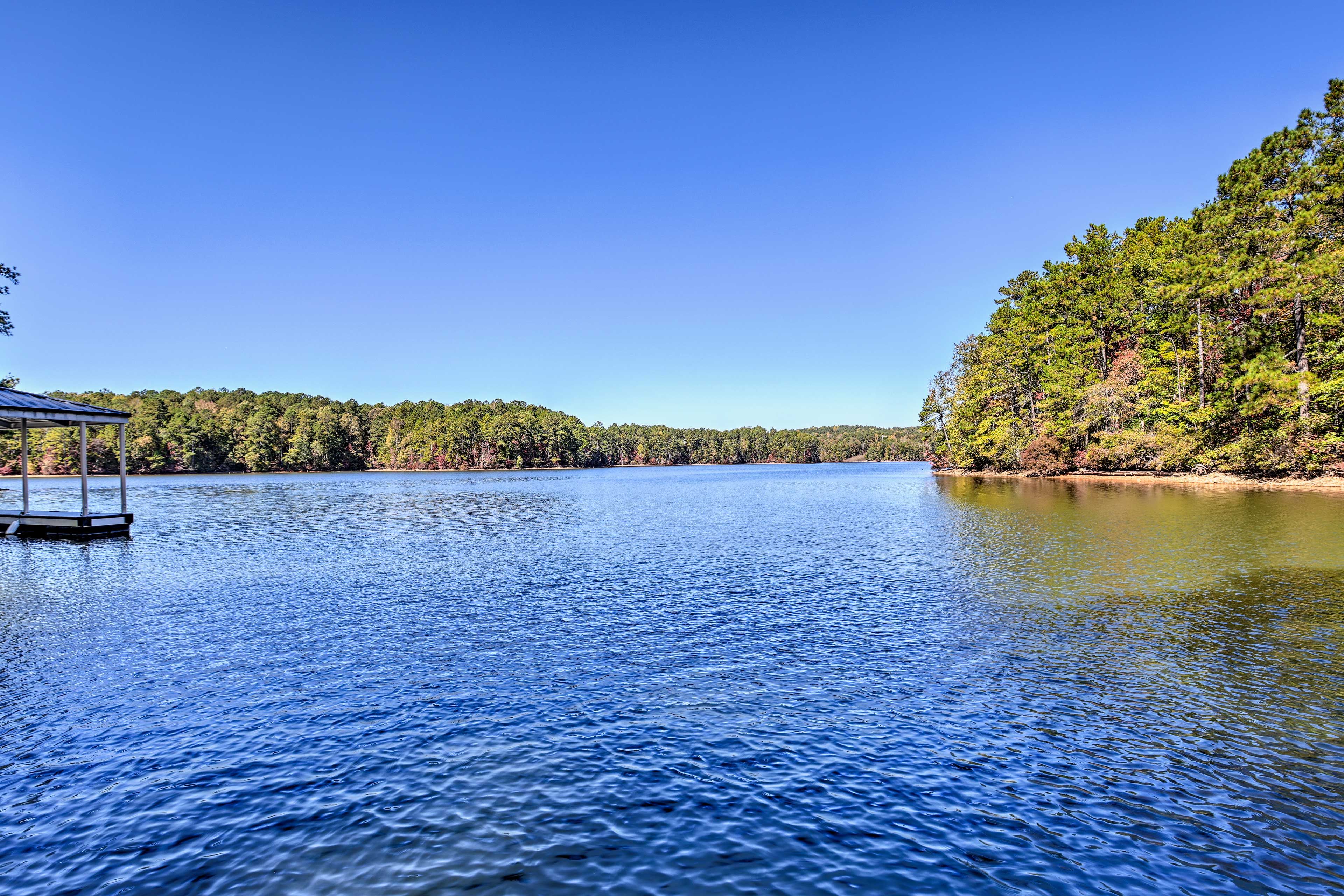 Lake Views