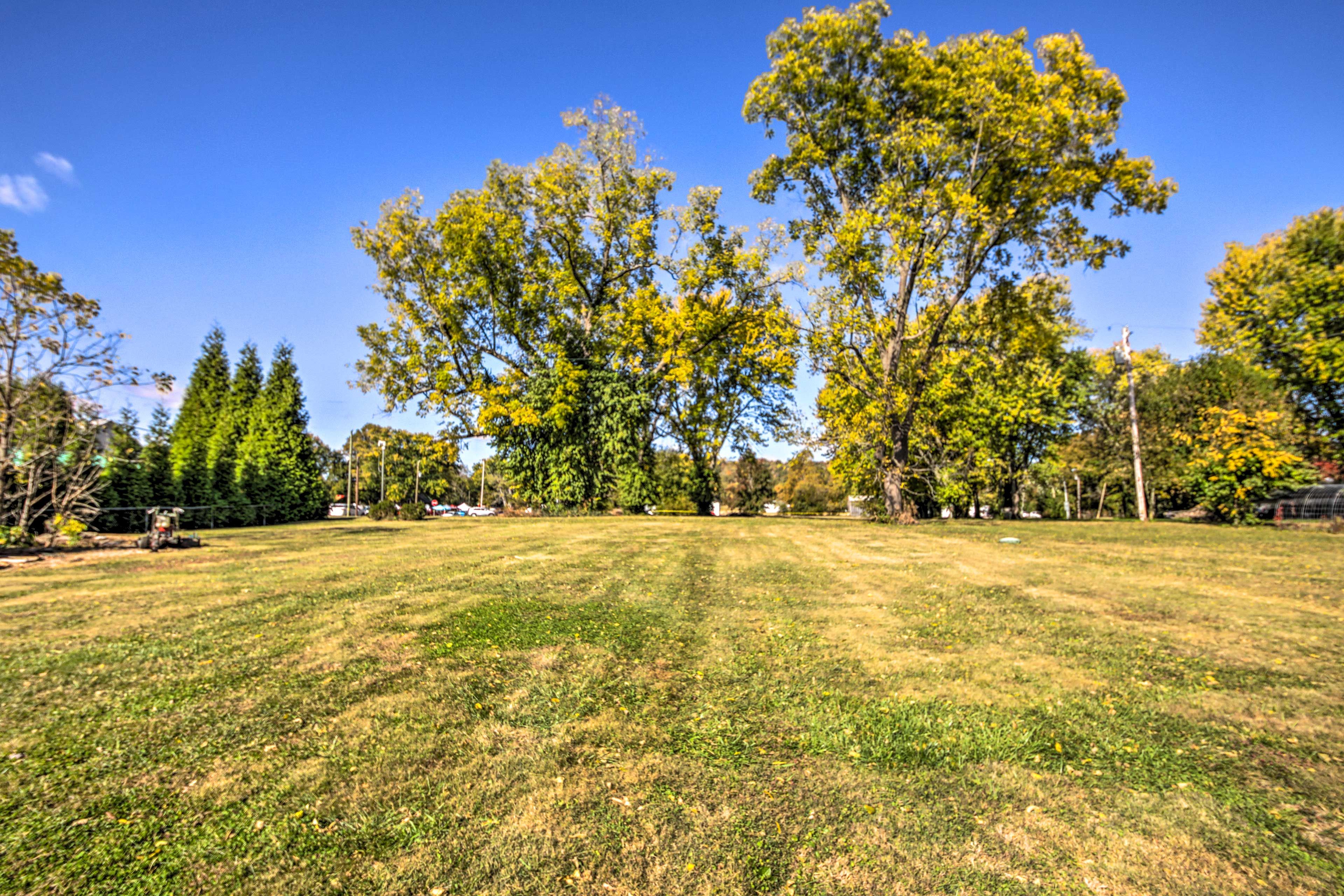 Backyard