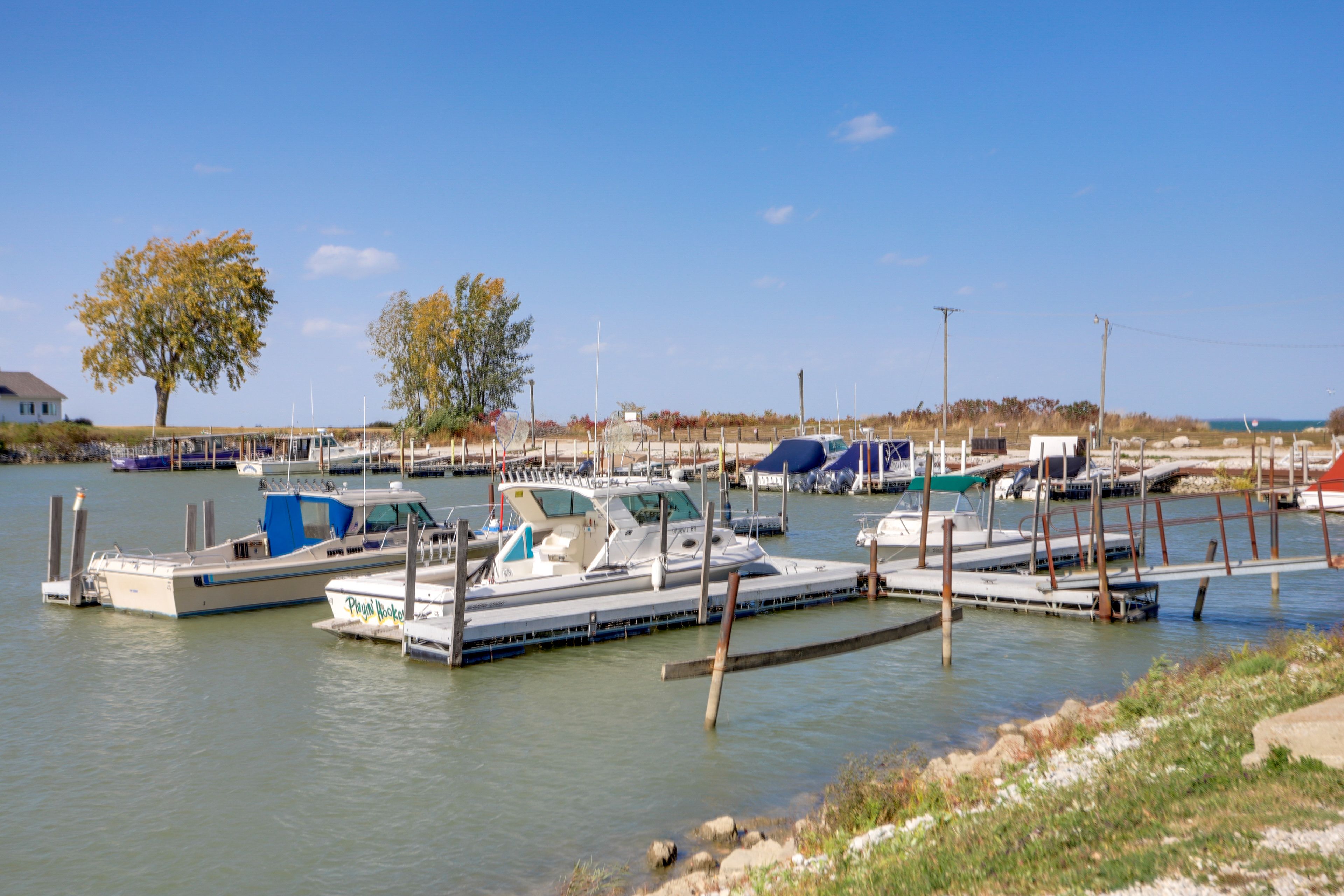 Community Marina