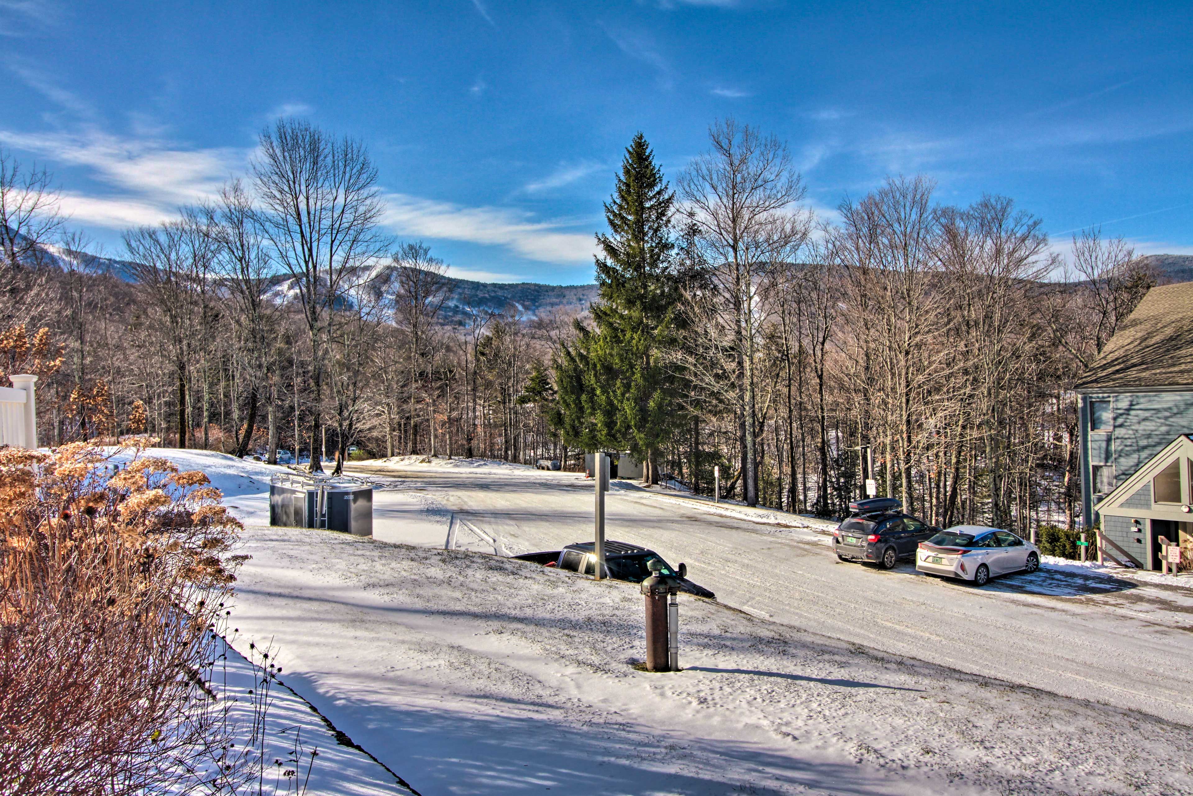 Mountain Views