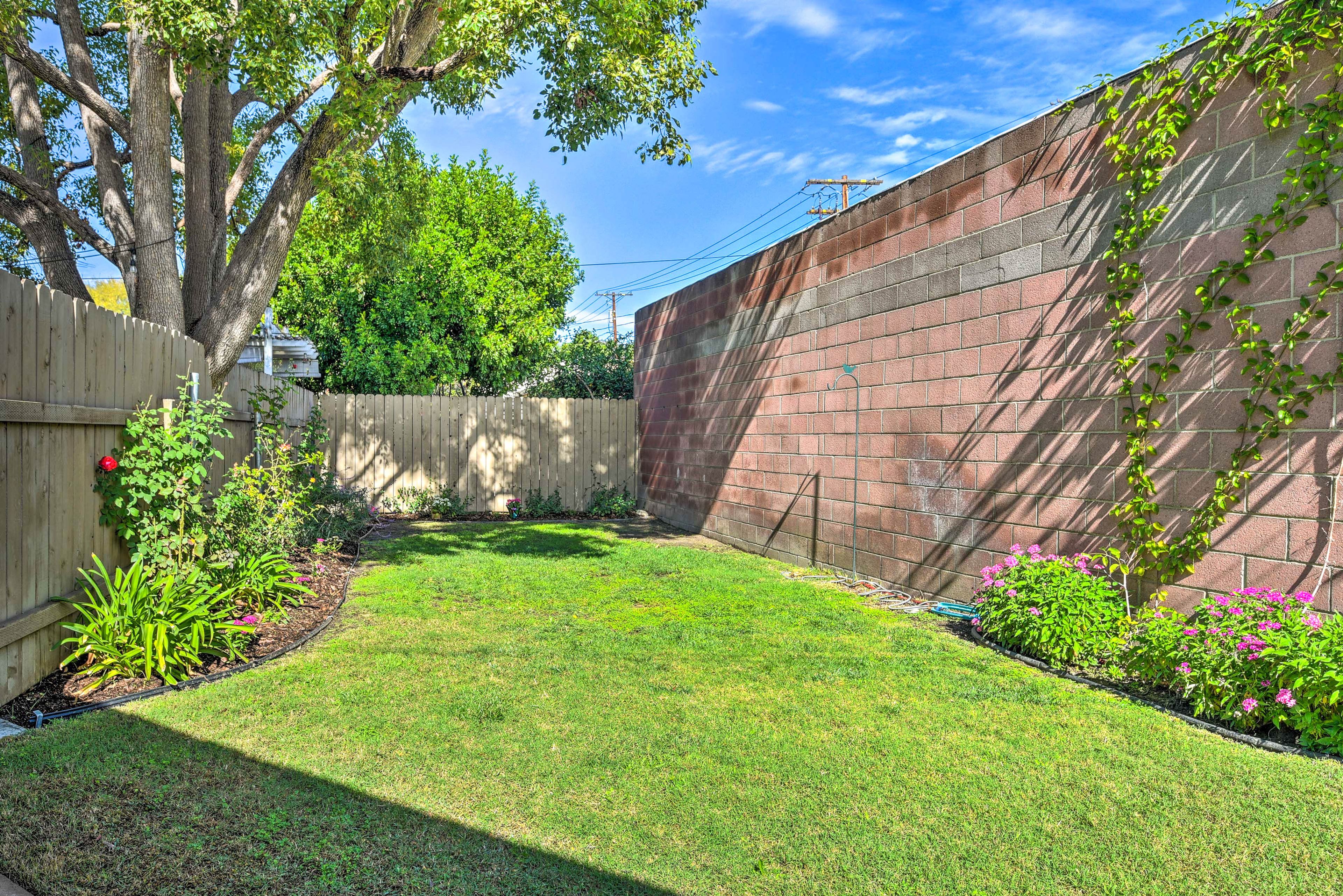 Fenced Backyard