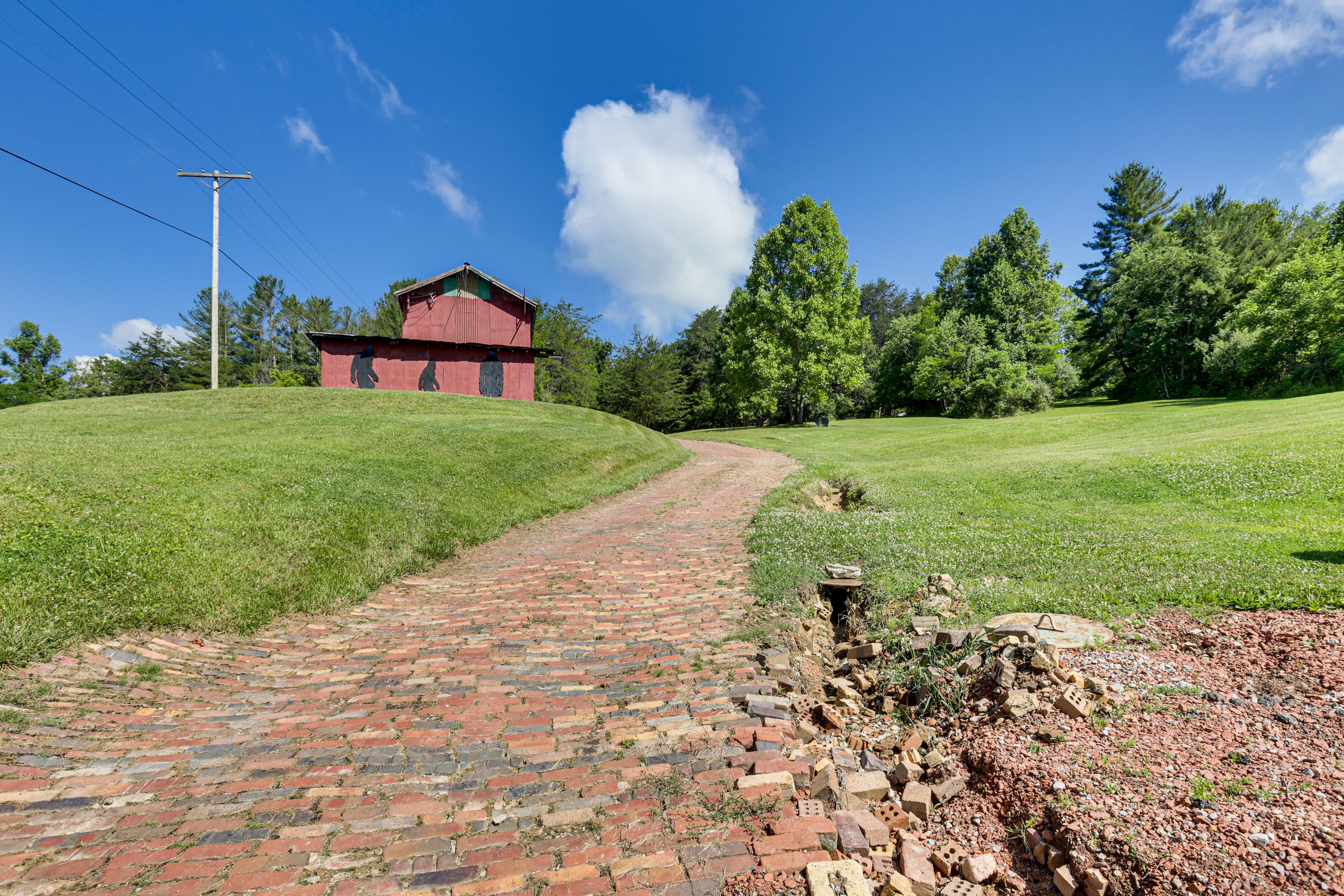 Image 28