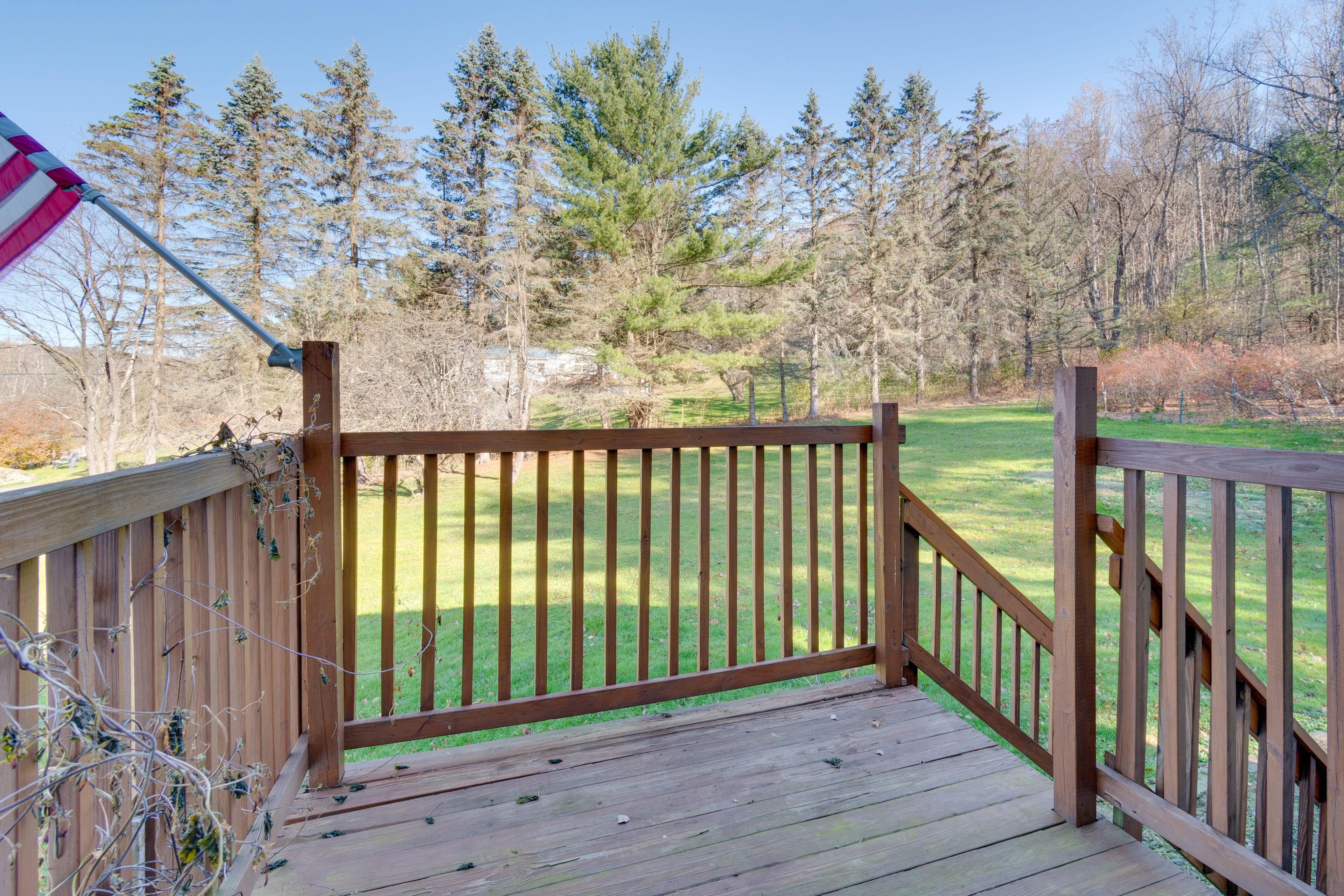Private Yard