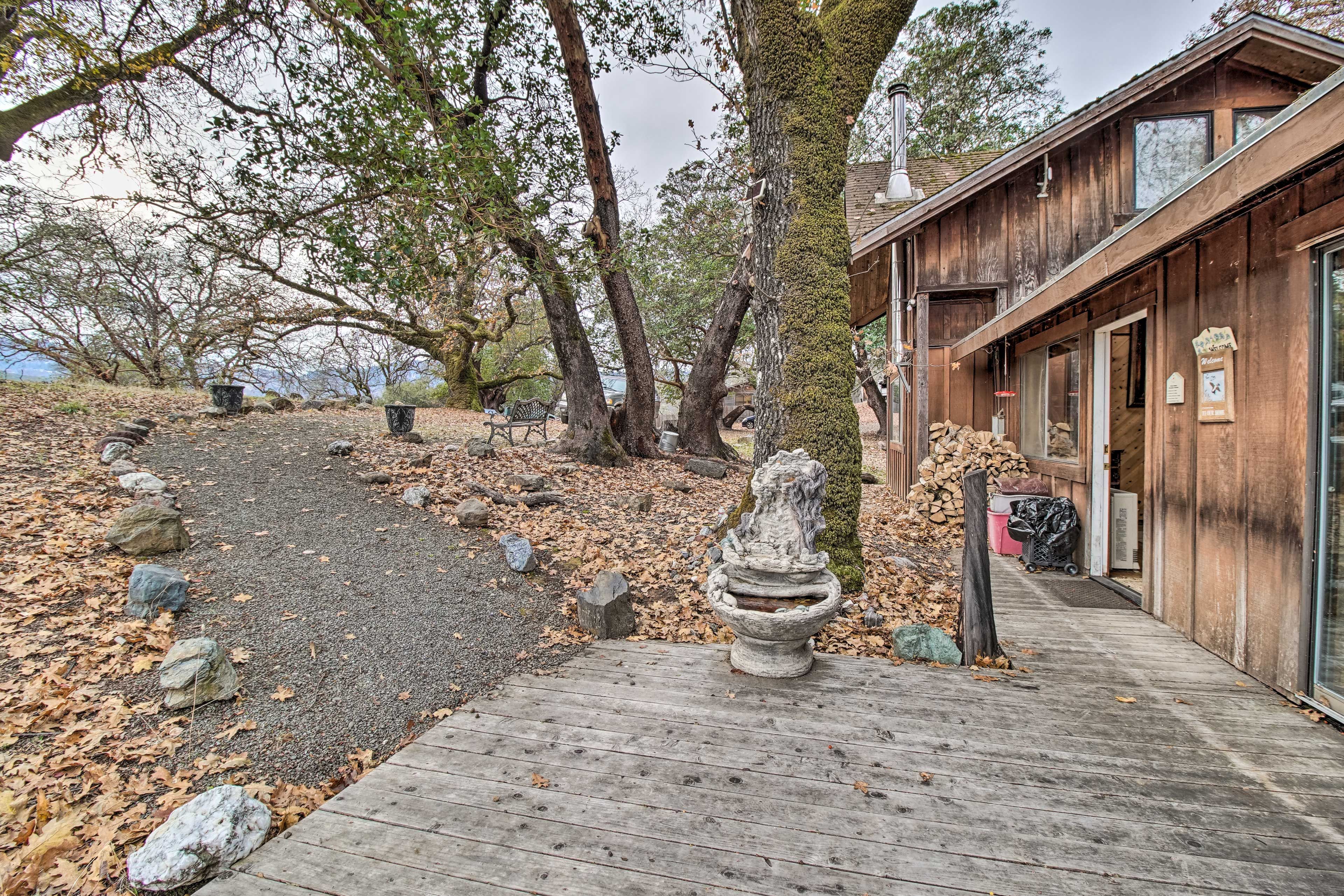 Yard | Path