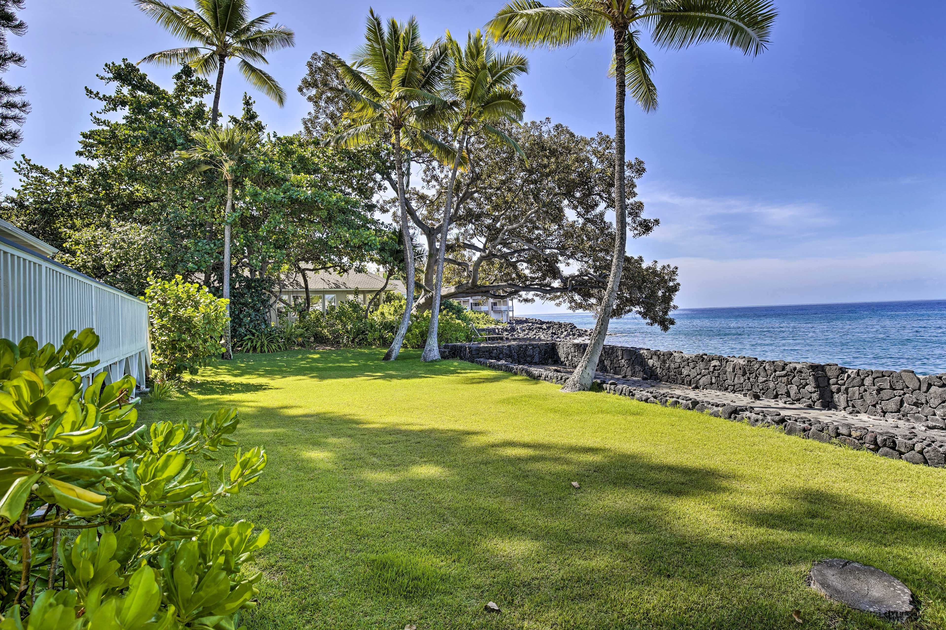 Manicured Yard