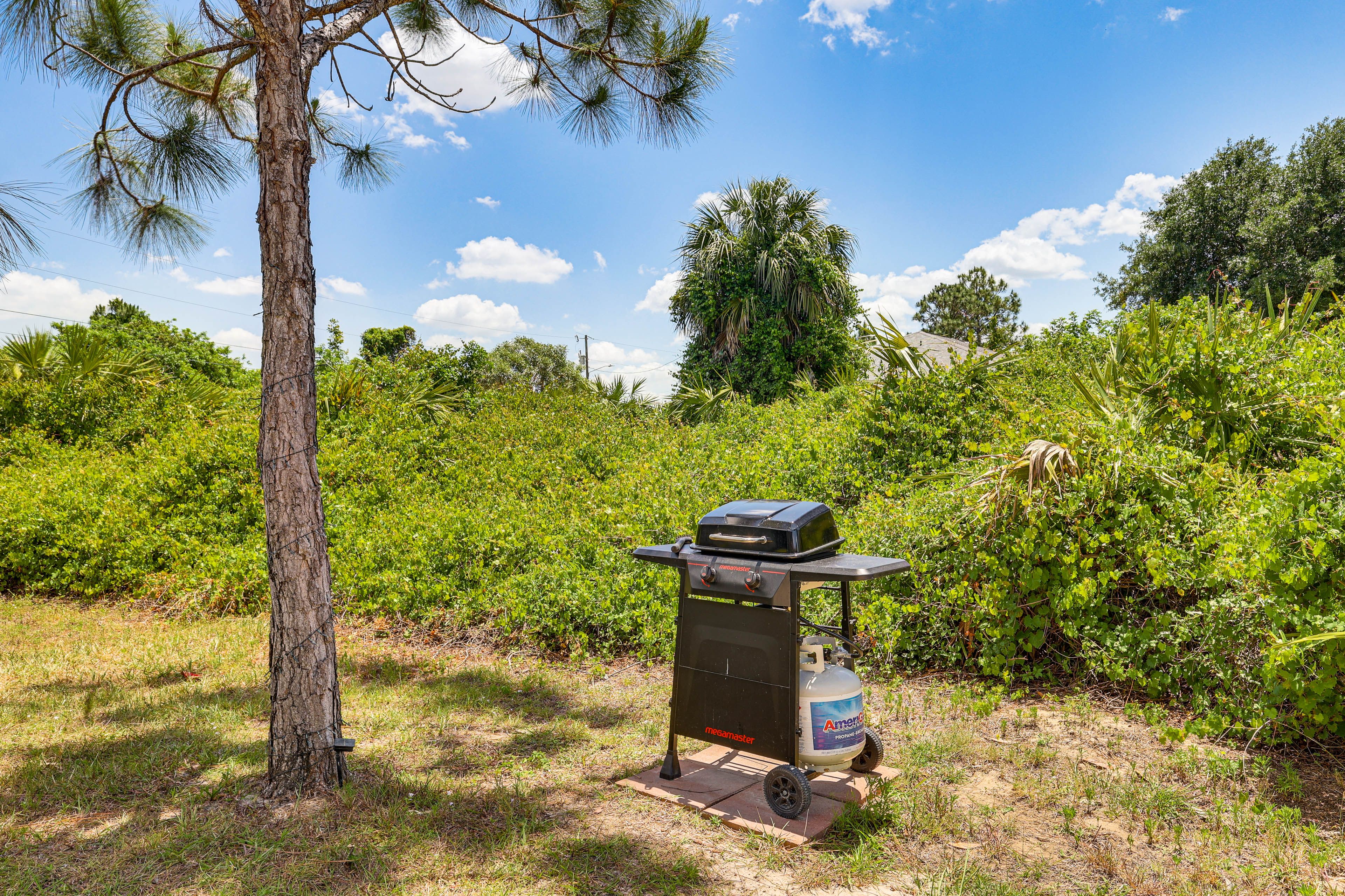 Grill Area