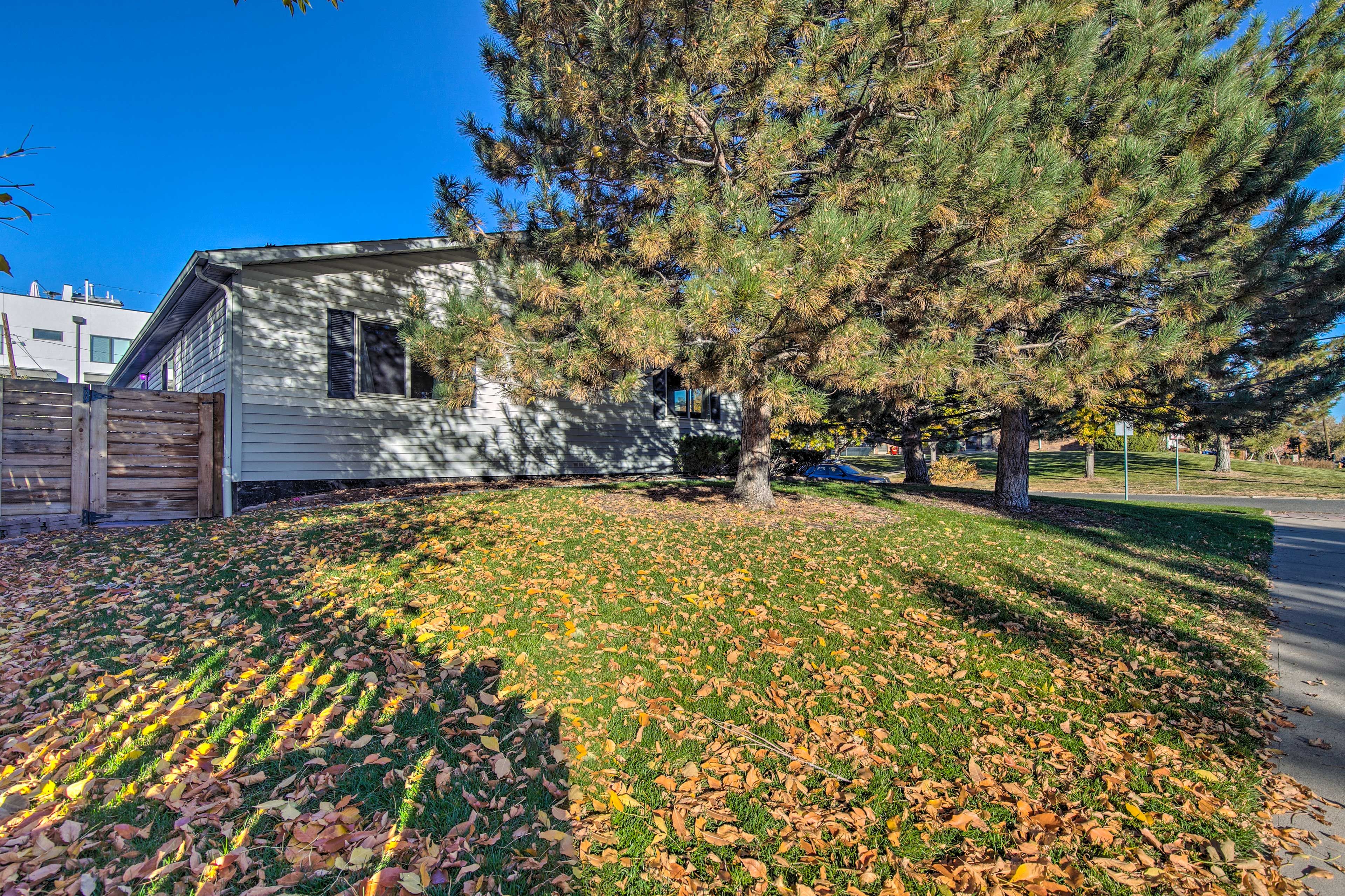 Side Yard